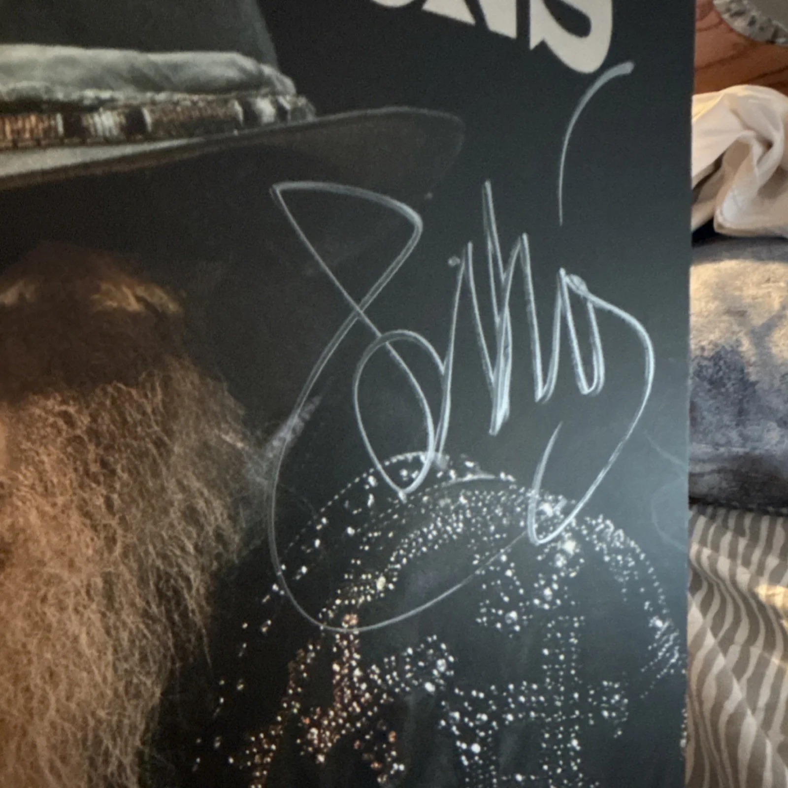 Billy F Gibbons The Big Bad Blues Autographed Record sleeve Authentication, image 2