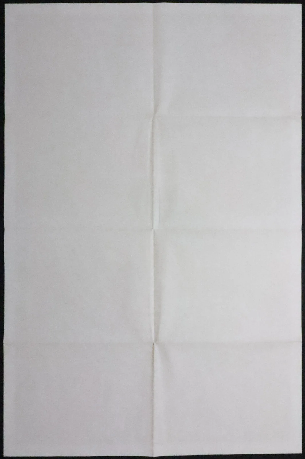 Victor Victoria ORIGINAL One Sheet Movie Poster Julie Andrews Blake Edwards 1982, изображение 2