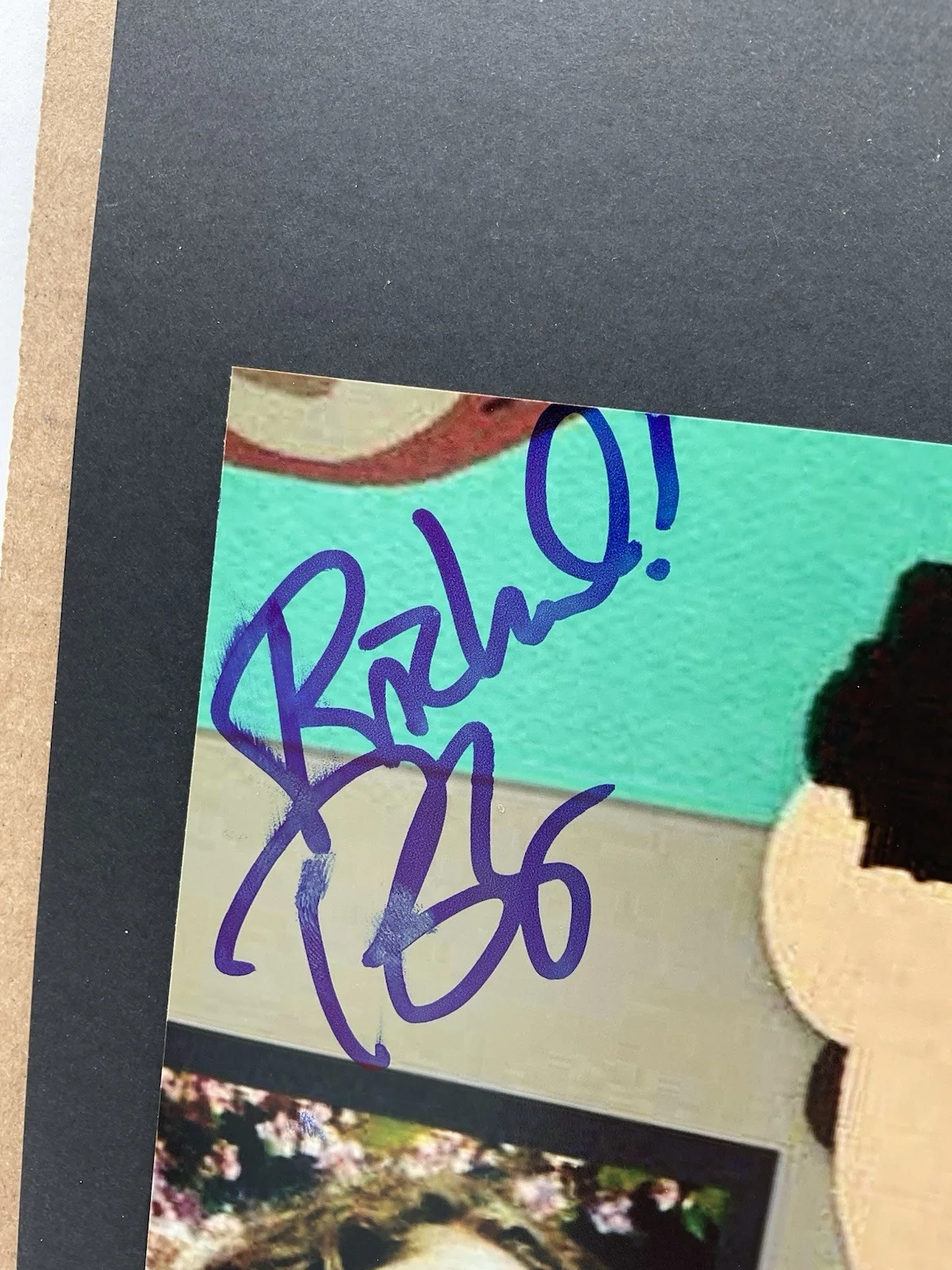 Pam Brady — South Park signed 8x10 Pam Brady signed photo South Park autographed photo ACOA, изображение 2