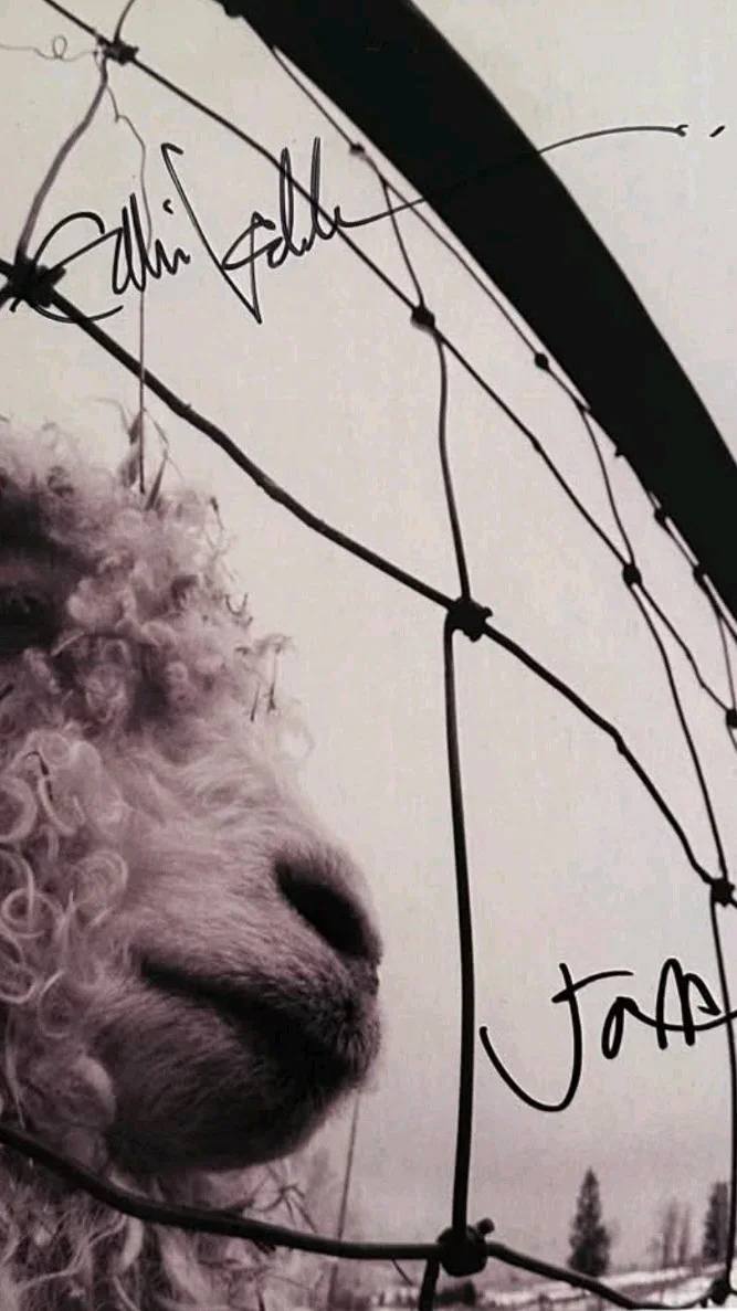 Pearl Jam Signed Eddie Vedder And Jeff Ament Versus Autographed Vinyl Record, изображение 2