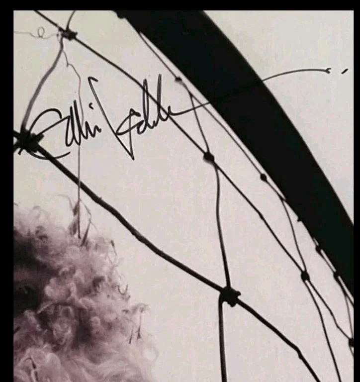 Pearl Jam Signed Eddie Vedder And Jeff Ament Versus Autographed Vinyl Record, изображение 5
