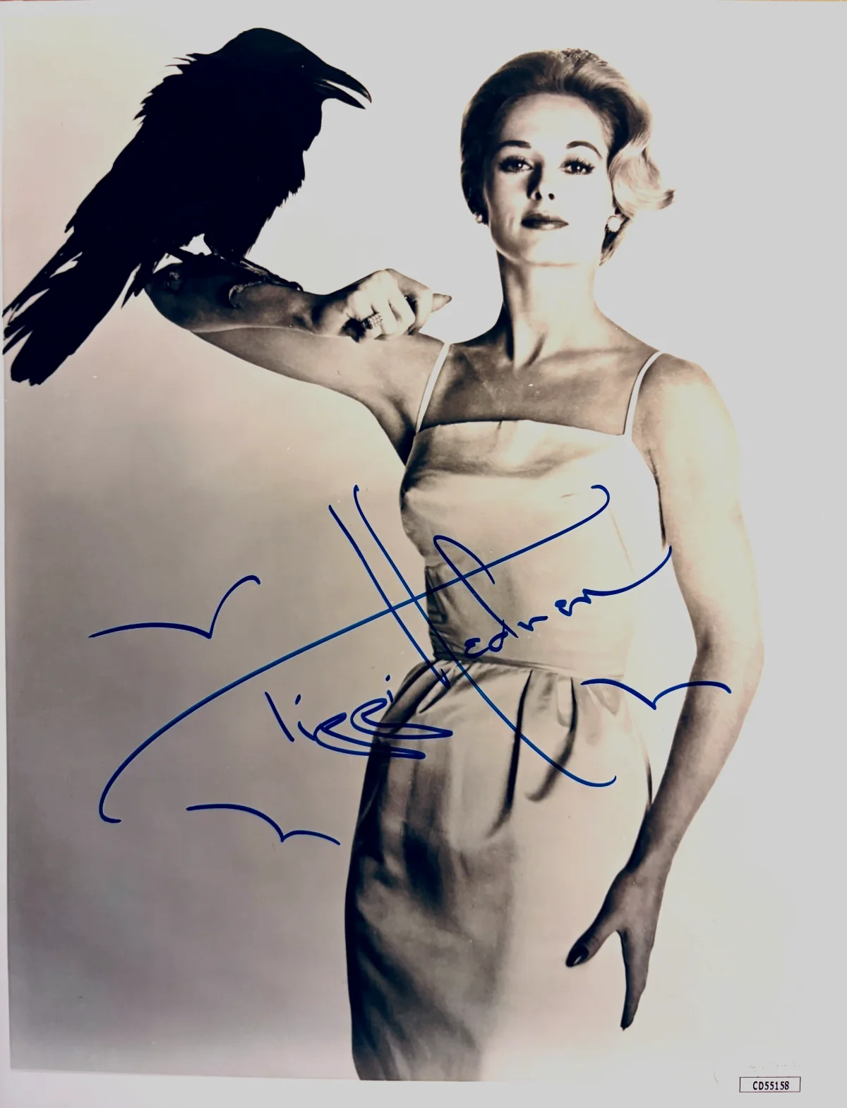 TIPPI HEDREN — Tippi Hedren Signed (JSA)•FULL NAME•NOT PERSONALIZE *The Birds*FANTASTIC PICTURE, image 2