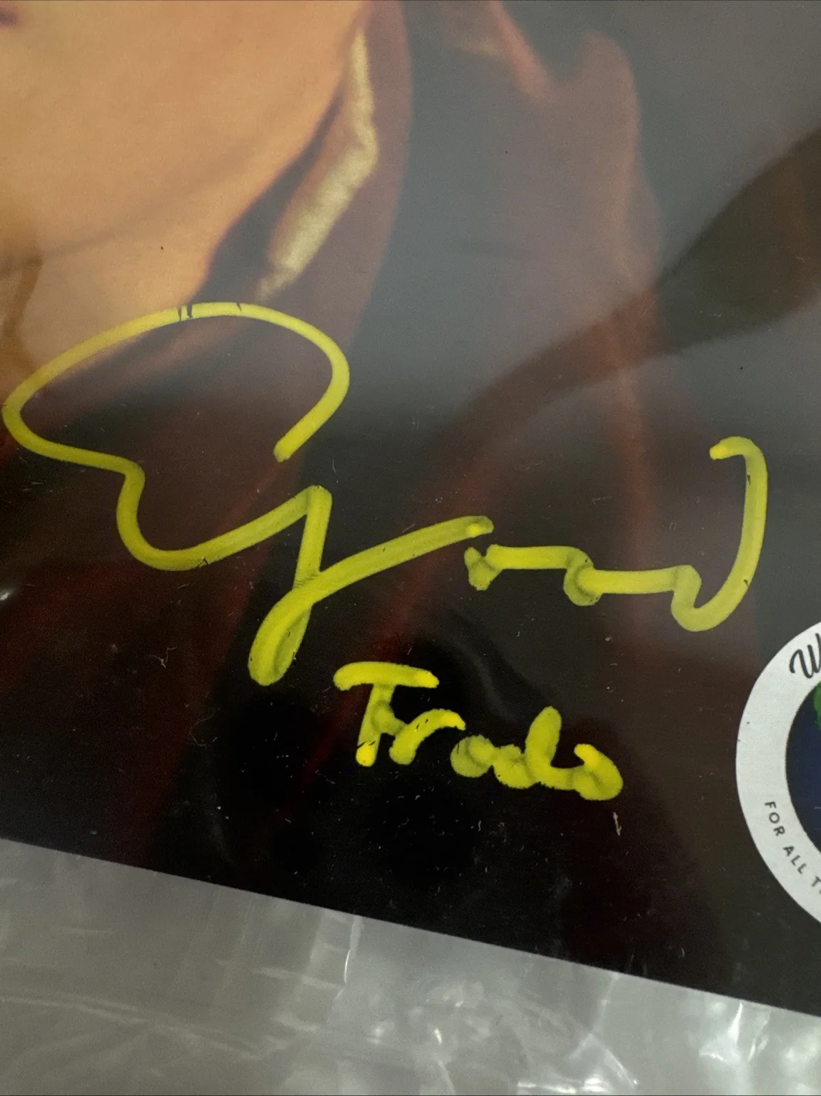 Elijah Wood Autographed Photo of Frodo Baggins - The Lord of the Rings / NF6F, изображение 2