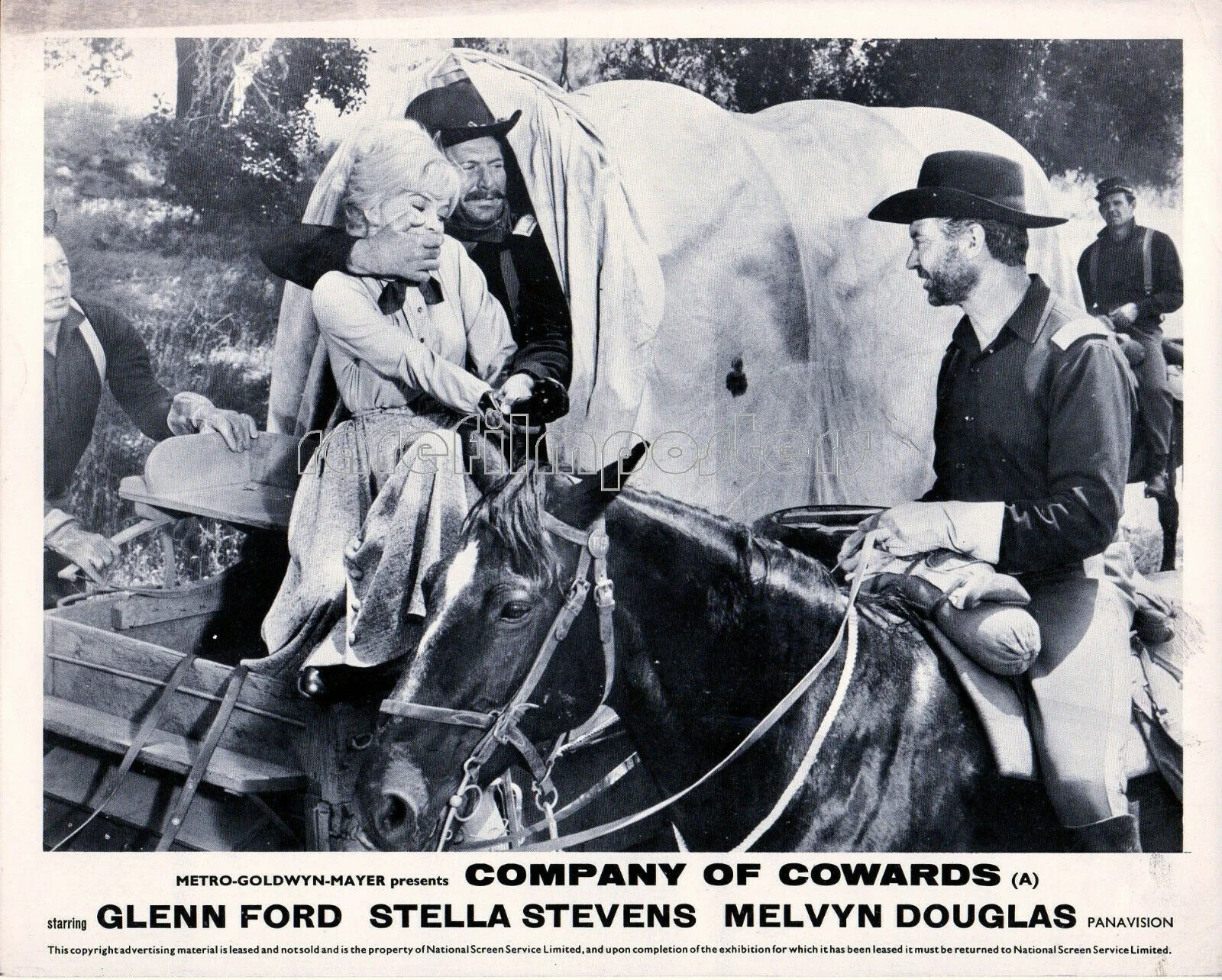 COMPANY OF COWARDS 1964 Glenn Ford, Stella Stevens 7 10x8 LOBBY CARDS, изображение 4