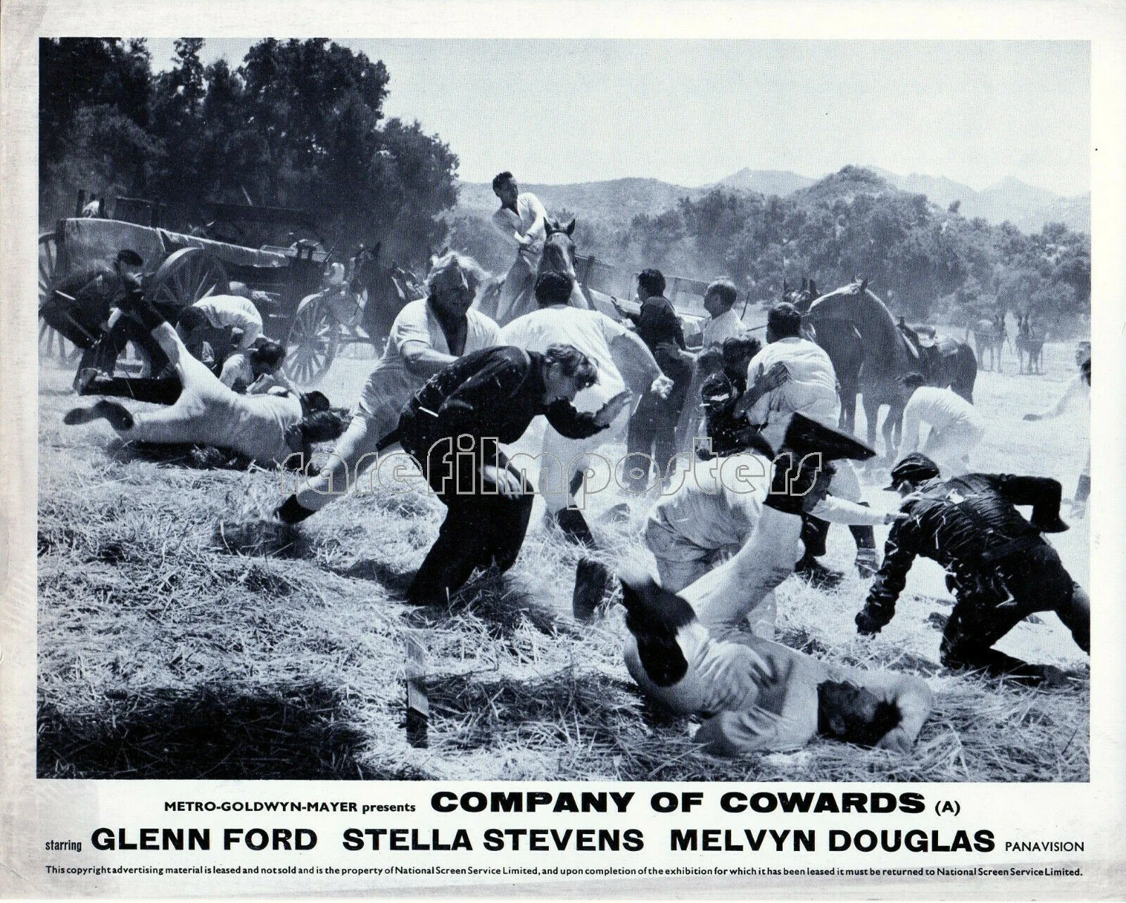 COMPANY OF COWARDS 1964 Glenn Ford, Stella Stevens 7 10x8 LOBBY CARDS, изображение 5