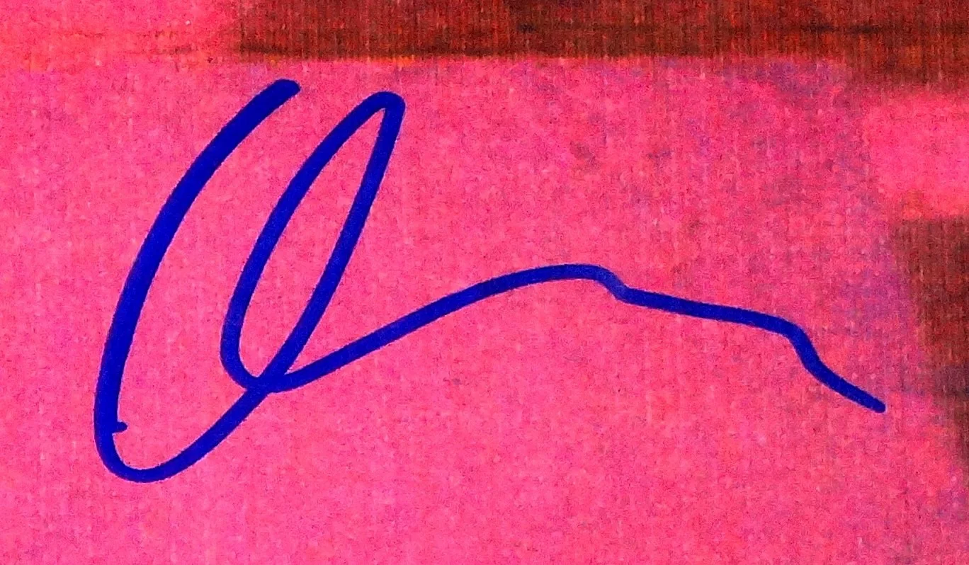 PEARL JAM HAND SIGNED AUTOGRAPHED TEN VINYL ALBUM BY ALL 5! RARE W/ PROOF+C.O.A., image 5