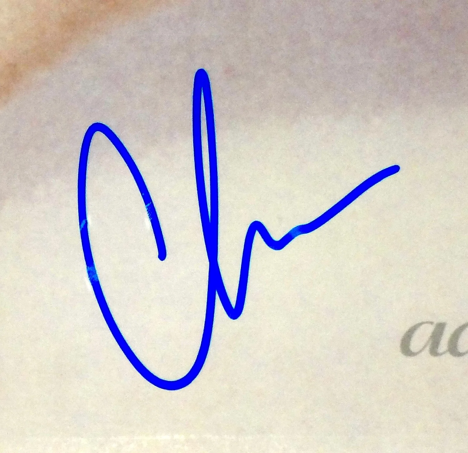 DEFTONES CHINO MORENO HAND SIGNED AUTOGRAPHED ADRENALINE ALBUM BRAND NEW W/PROOF, изображение 2