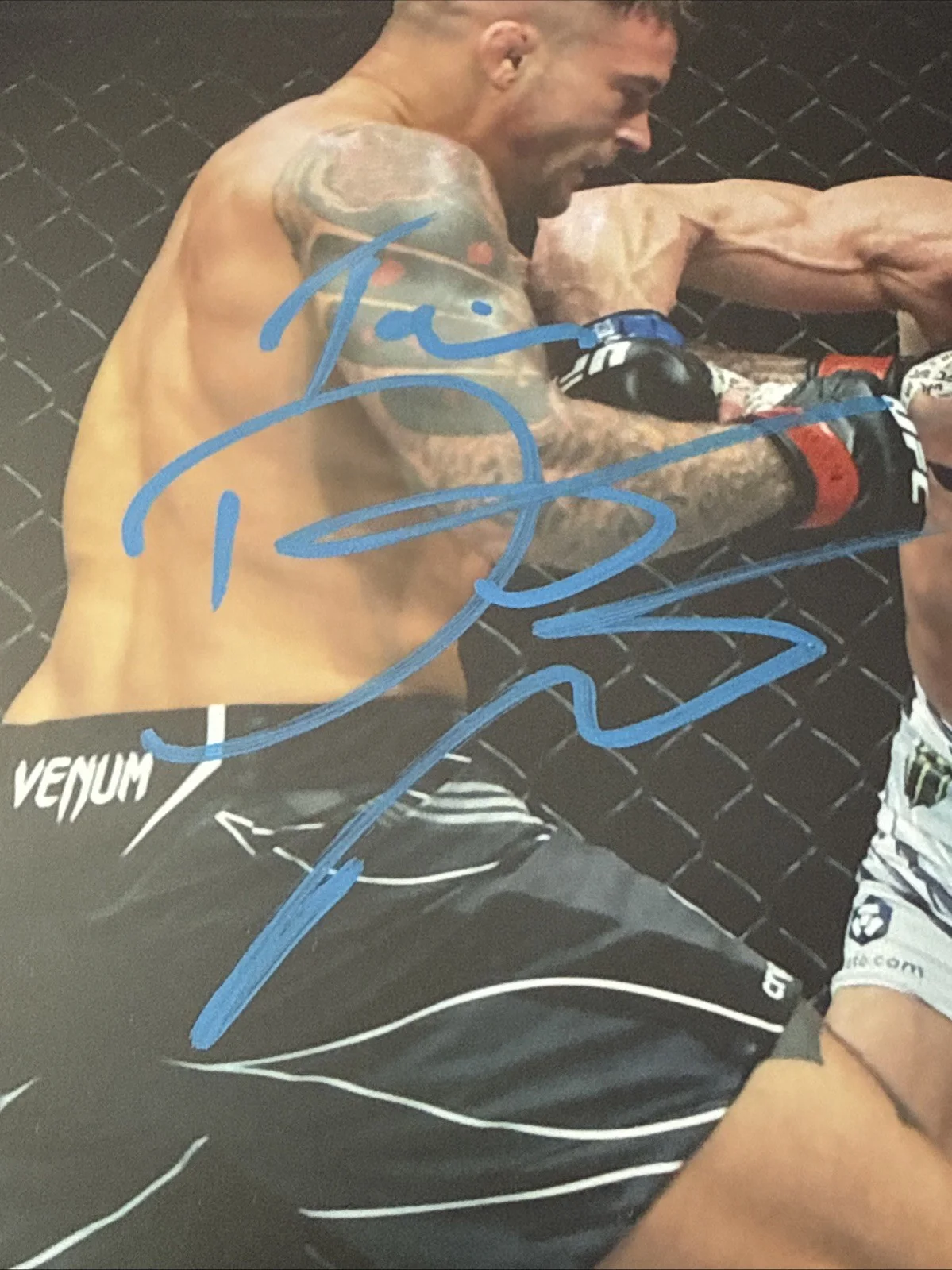 Dustin Poirier Signed 8x10.Madison Square Garden., image 2