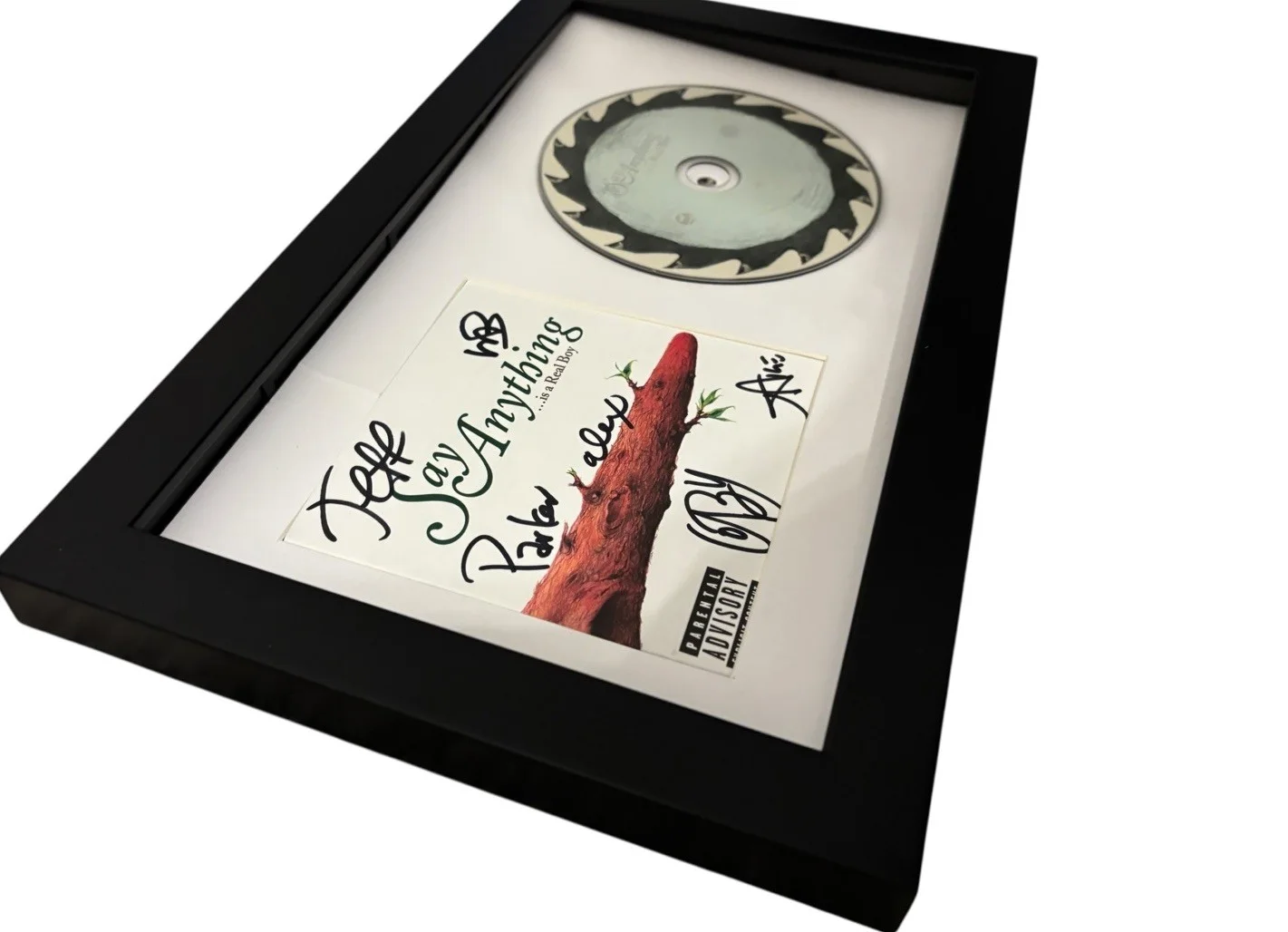 SAY ANYTHING SIGNED AUTOGRAPH IS A REAL BOY FRAMED CD MAX BEMIS +5 RARE JSA COA, image 4