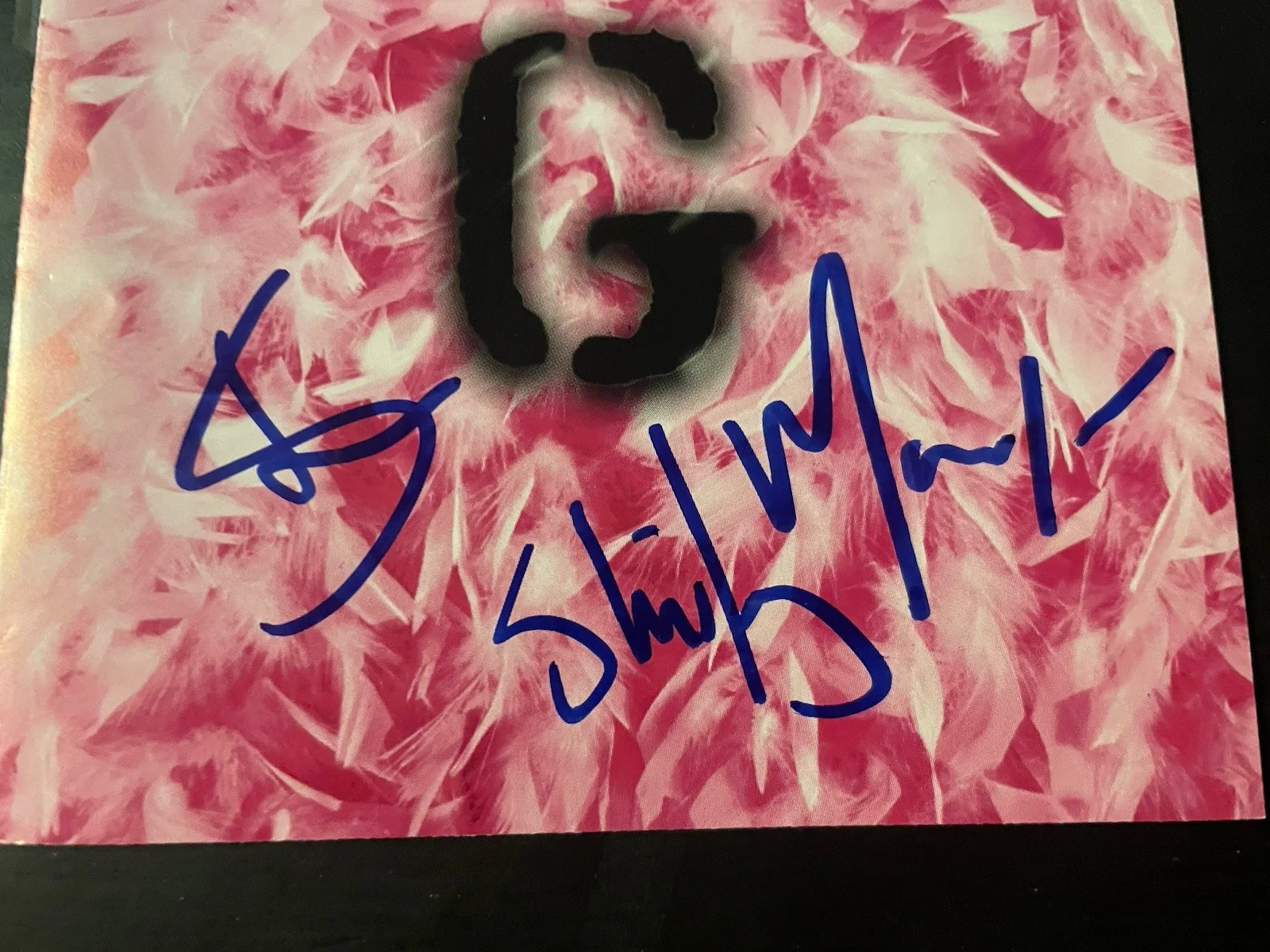 Shirley Manson — Shirley Manson signed Garbage Self Titled CD cover Autographed JSA COA, image 2