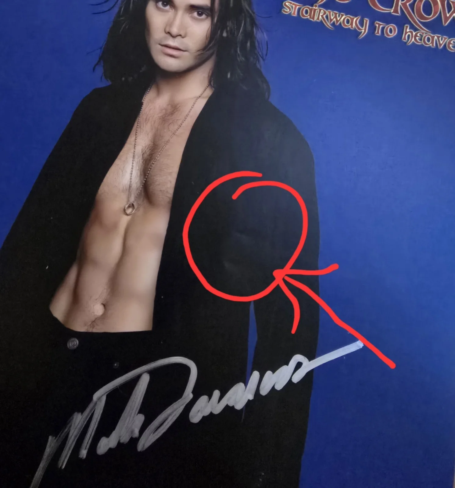 Mark Dacascos- Signed 8x10 Photo W/COA From The Crow 2 Stairway to heaven flawed, image 3