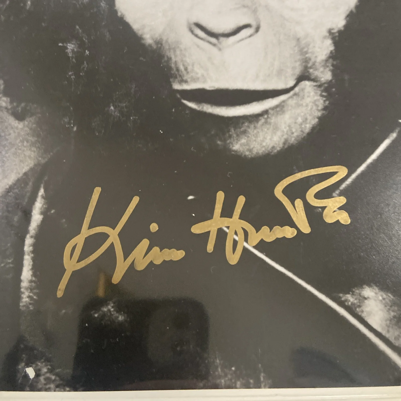 Kim Hunter — Kim Hunter hand SIGNED Planet Of The Apes Dr. Zira Promo Autograph gold ink, изображение 2