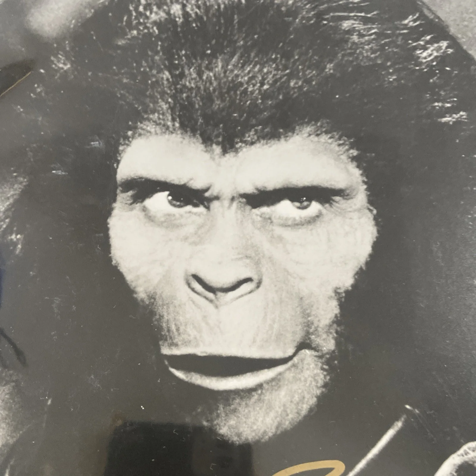 Kim Hunter — Kim Hunter hand SIGNED Planet Of The Apes Dr. Zira Promo Autograph gold ink, изображение 3