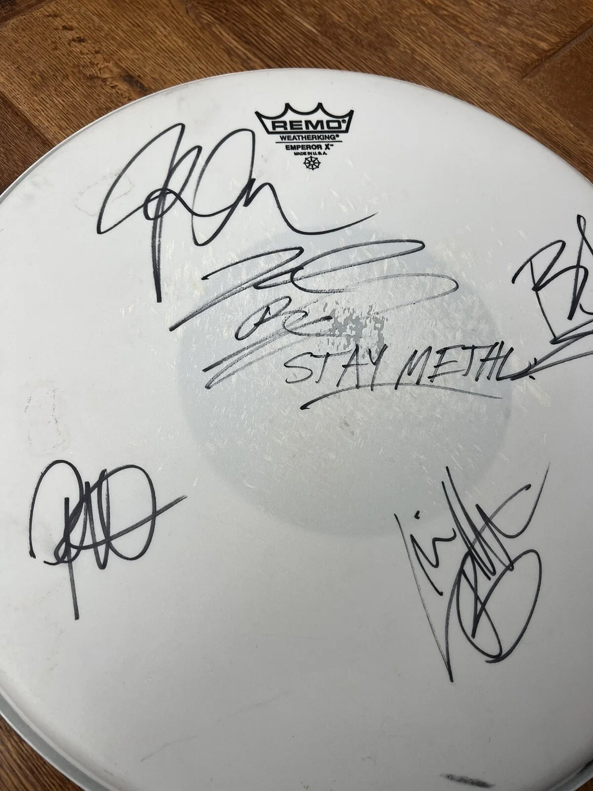 RARE STAY METAL Signed Drum Head Autographed By 6-8 Member 14” Remo Weatherking, изображение 3
