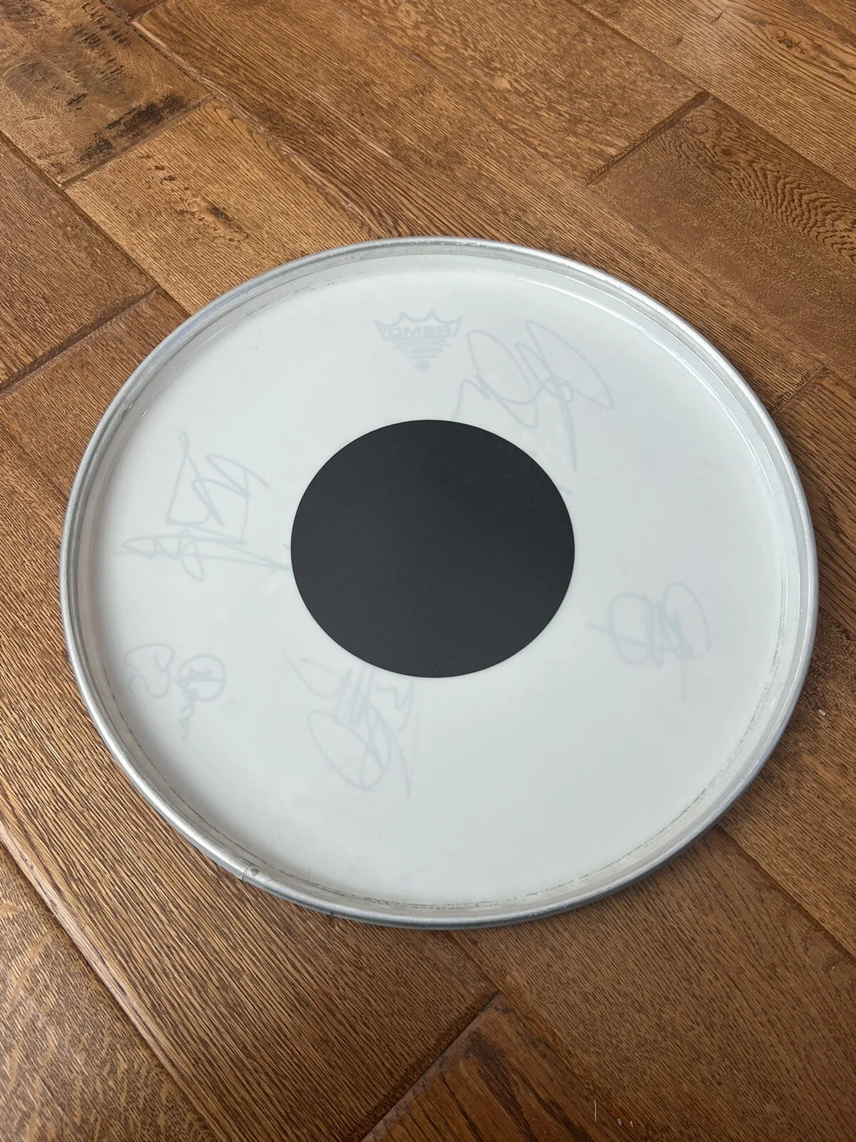 RARE STAY METAL Signed Drum Head Autographed By 6-8 Member 14” Remo Weatherking, изображение 4