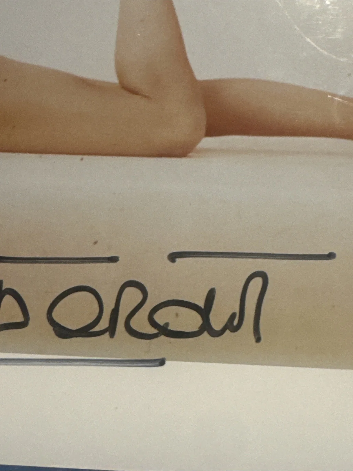 8 X 10 Autographed Photo Brigitte Bardot Vintage Movie Studio Still, image 5