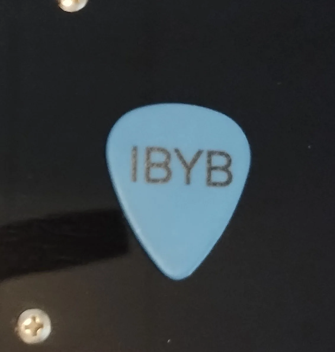 ROBERT CRAY SIGNED GUITAR IBYB GUITAR PICK RARE CD LP STRONG PERSUADAR COA IBYB, image 4