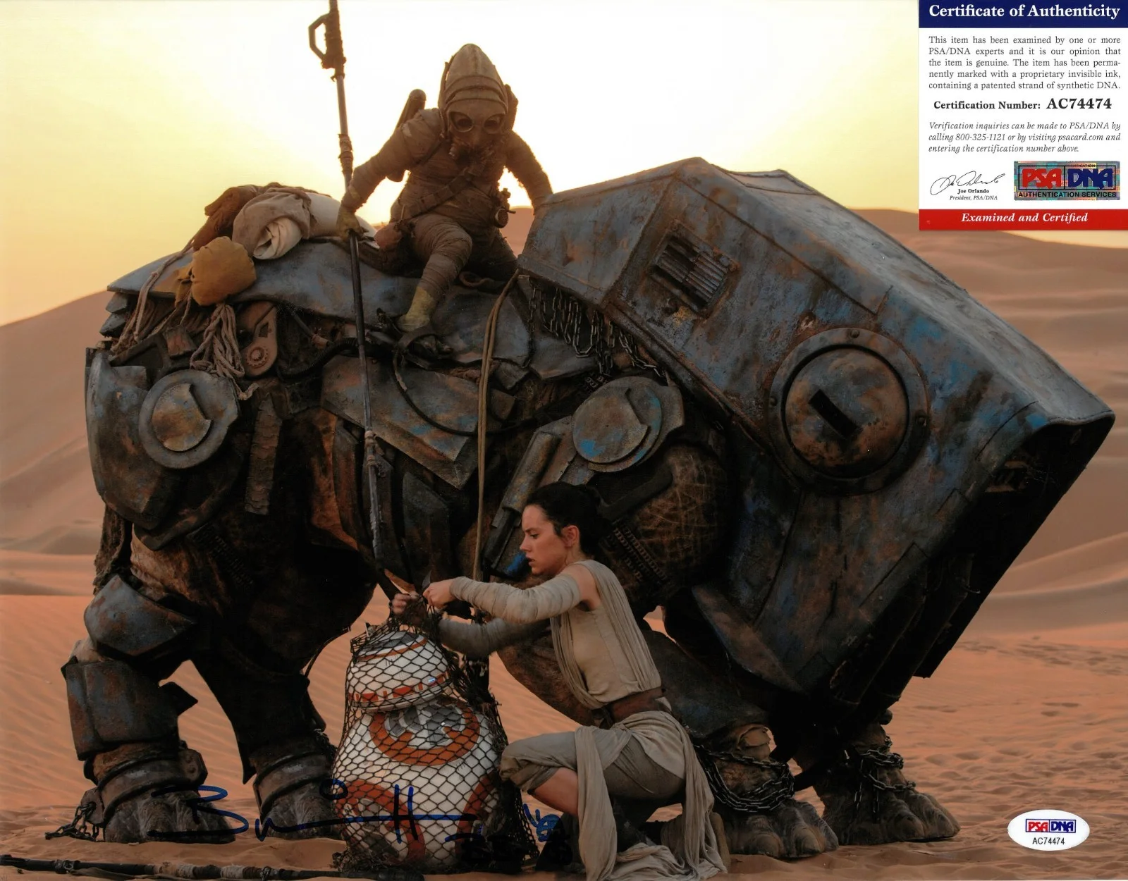 Brian Herring — Brian Herring BB-8 Signed 11x14 Photo Autographed The Force Awakens PSA/DNA COA, изображение 2
