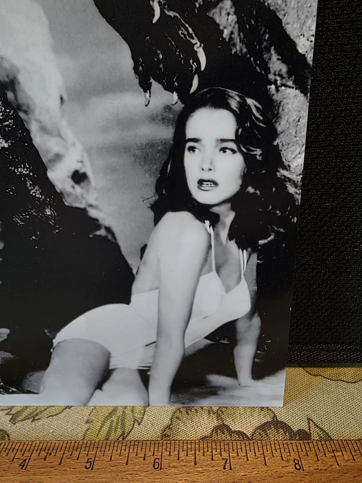 Julie Adams — Actress Julie Adams Autographed 8x10 Photo Creature of the Black Lagoon Movie, изображение 3