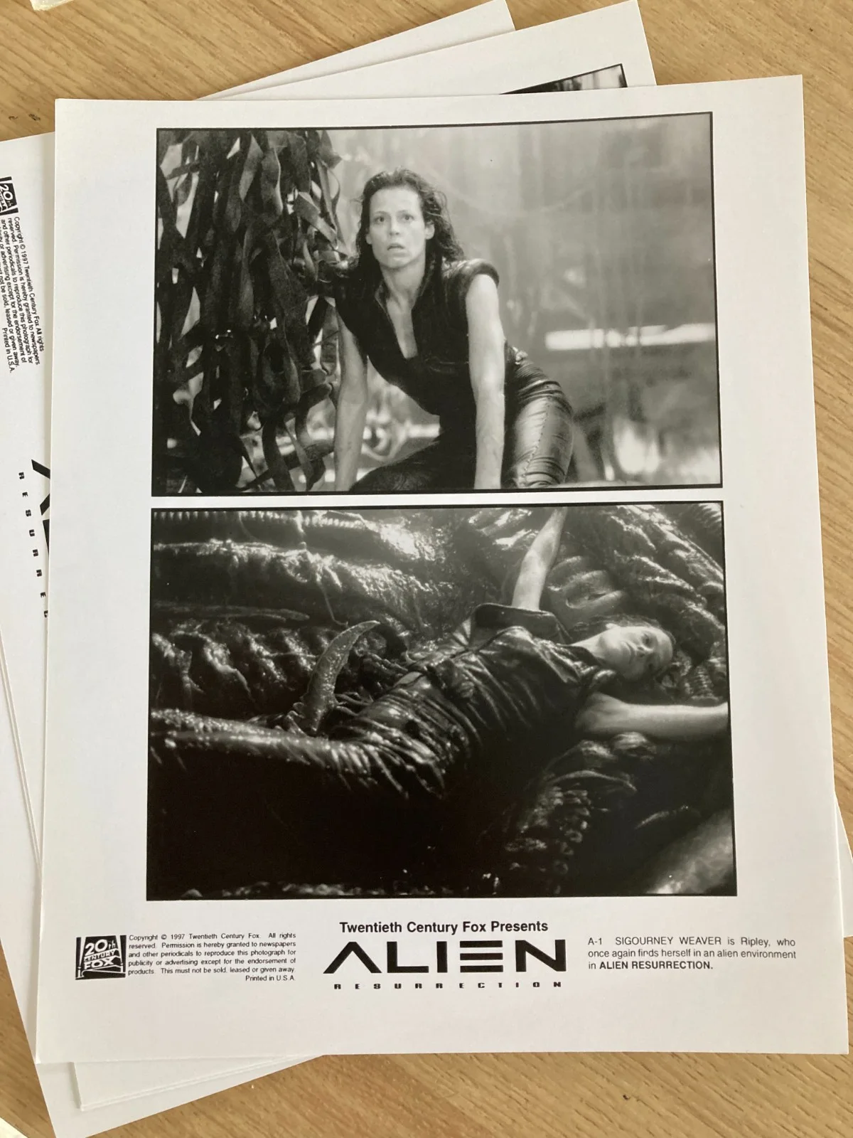 Still / Photo: ALIEN RESURRECTION 1997 (x 7) Sigourney Weaver Winona Ryder, изображение 4