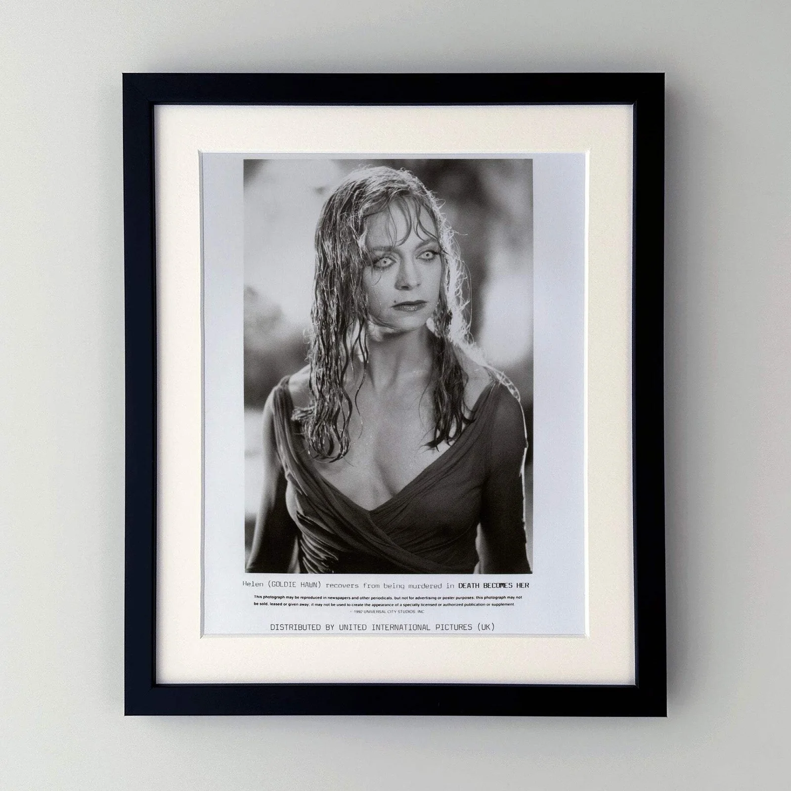 Death Becomes Her (1992) Press Publicity Still - Framed, изображение 2