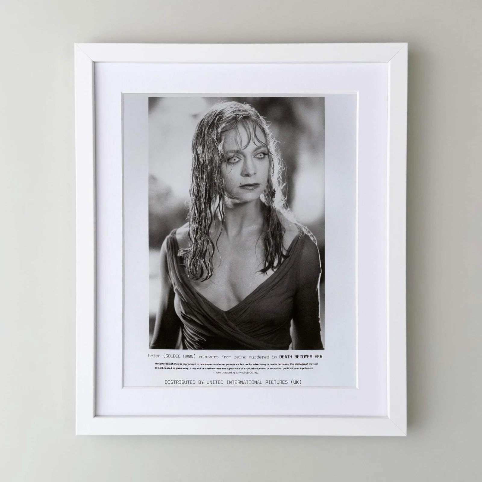 Death Becomes Her (1992) Press Publicity Still - Framed, изображение 3