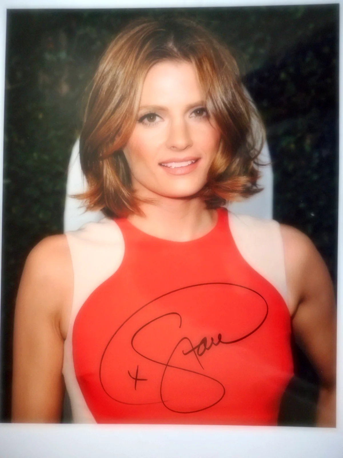 Stana Katic — Stana Katic Autographed CASTLE/THE SPIRIT Smile 8x10 Photo Coa & #d Hologram