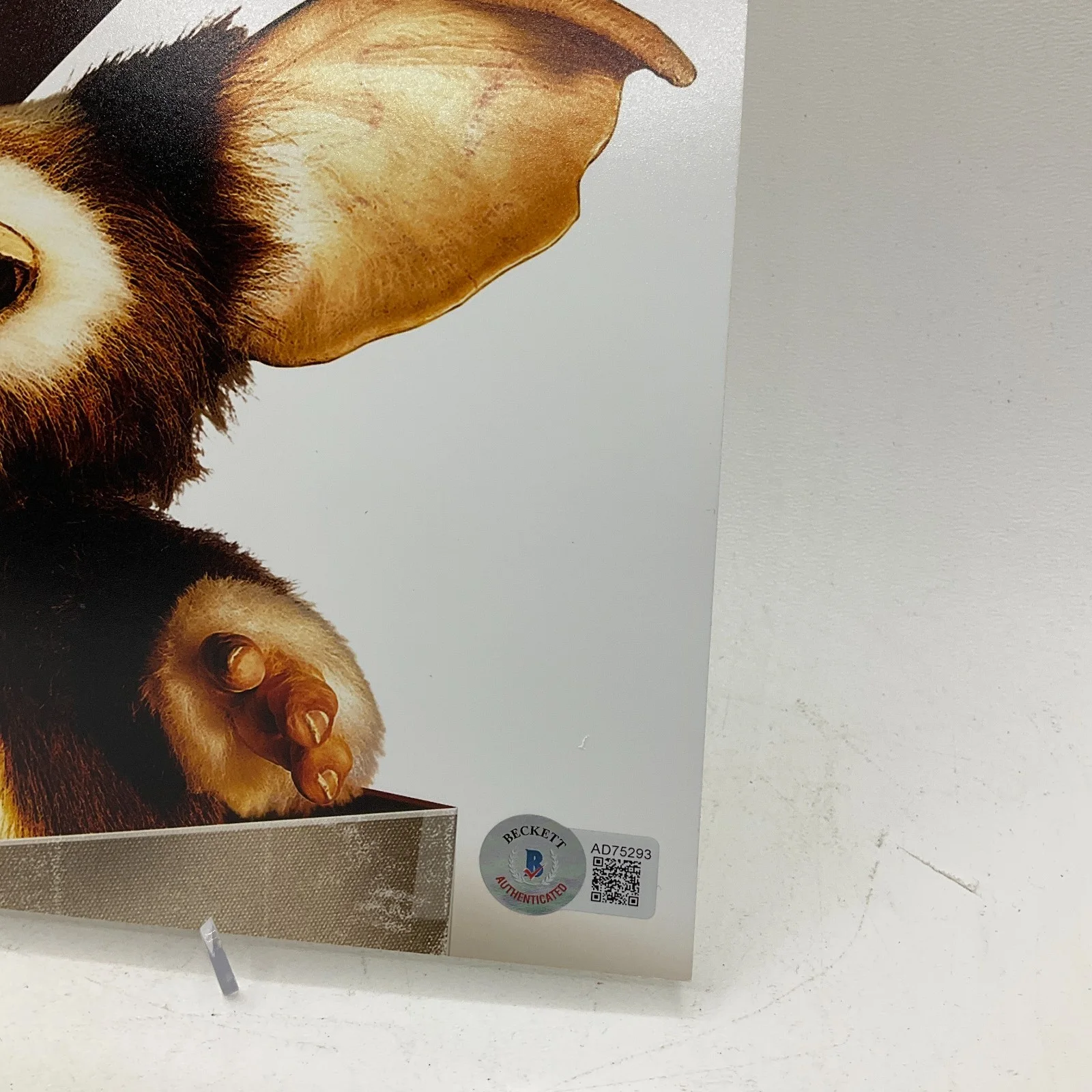 Howie Mandel — Howie Mandel Gremlins Gizmo Autographed Signed Photo 8x10 Beckett Authenticated, image 3