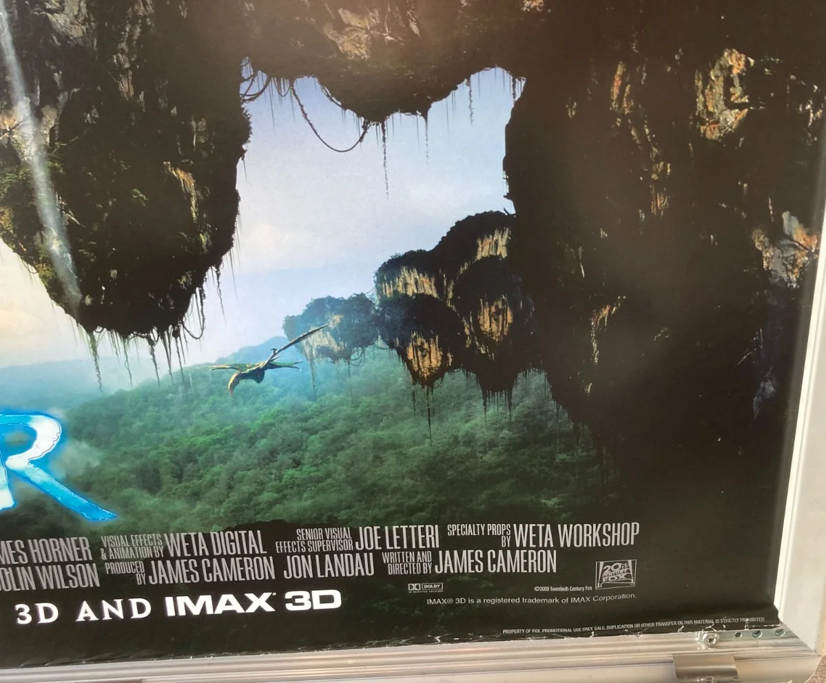 Cinema Poster: AVATAR 2009 (Quad) Sam Worthington Sigourney Weaver Zoe Saldana, изображение 4