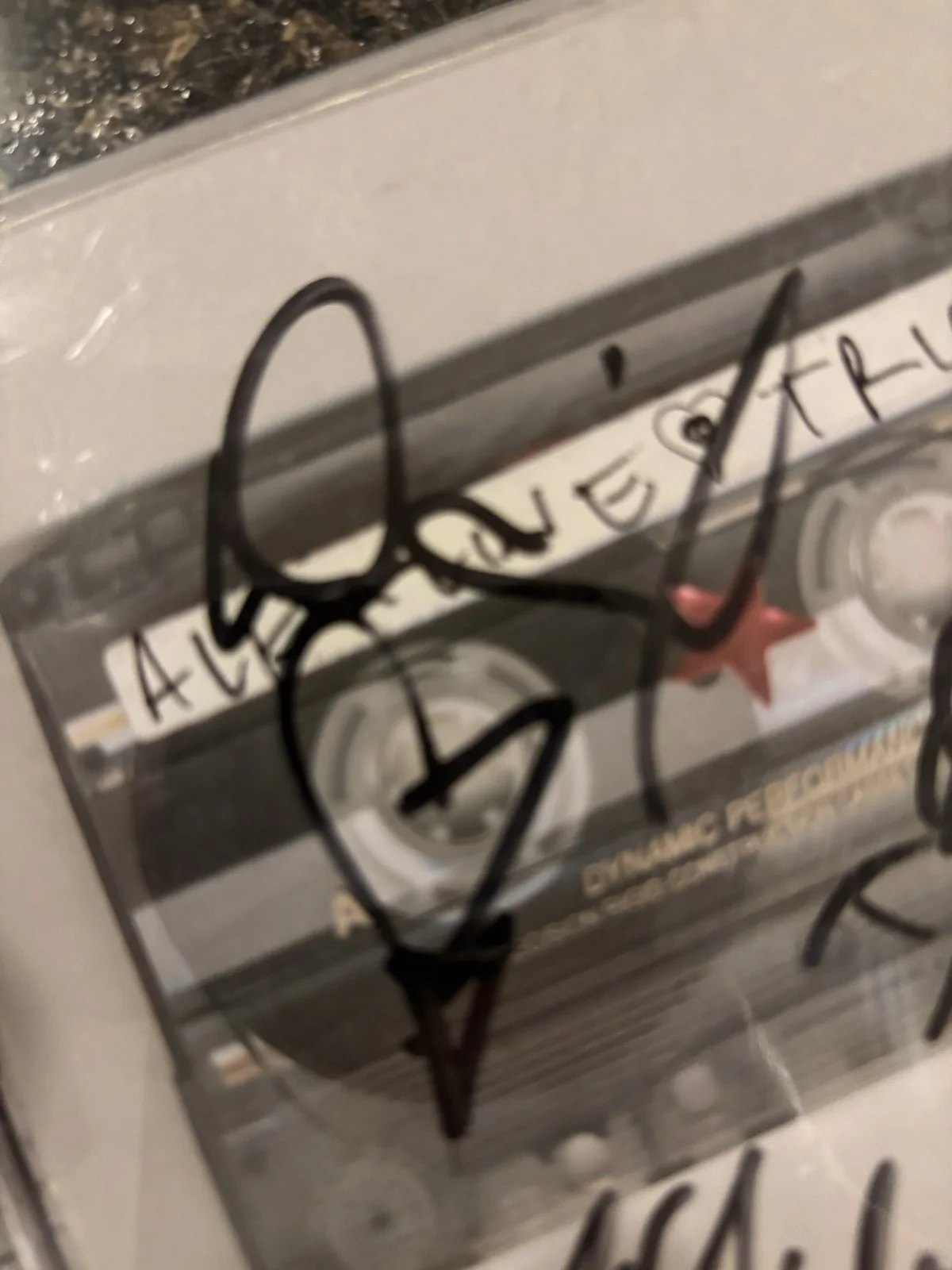 Alkaline Trio Autographed Album CD Sleeve Self Titled, изображение 4