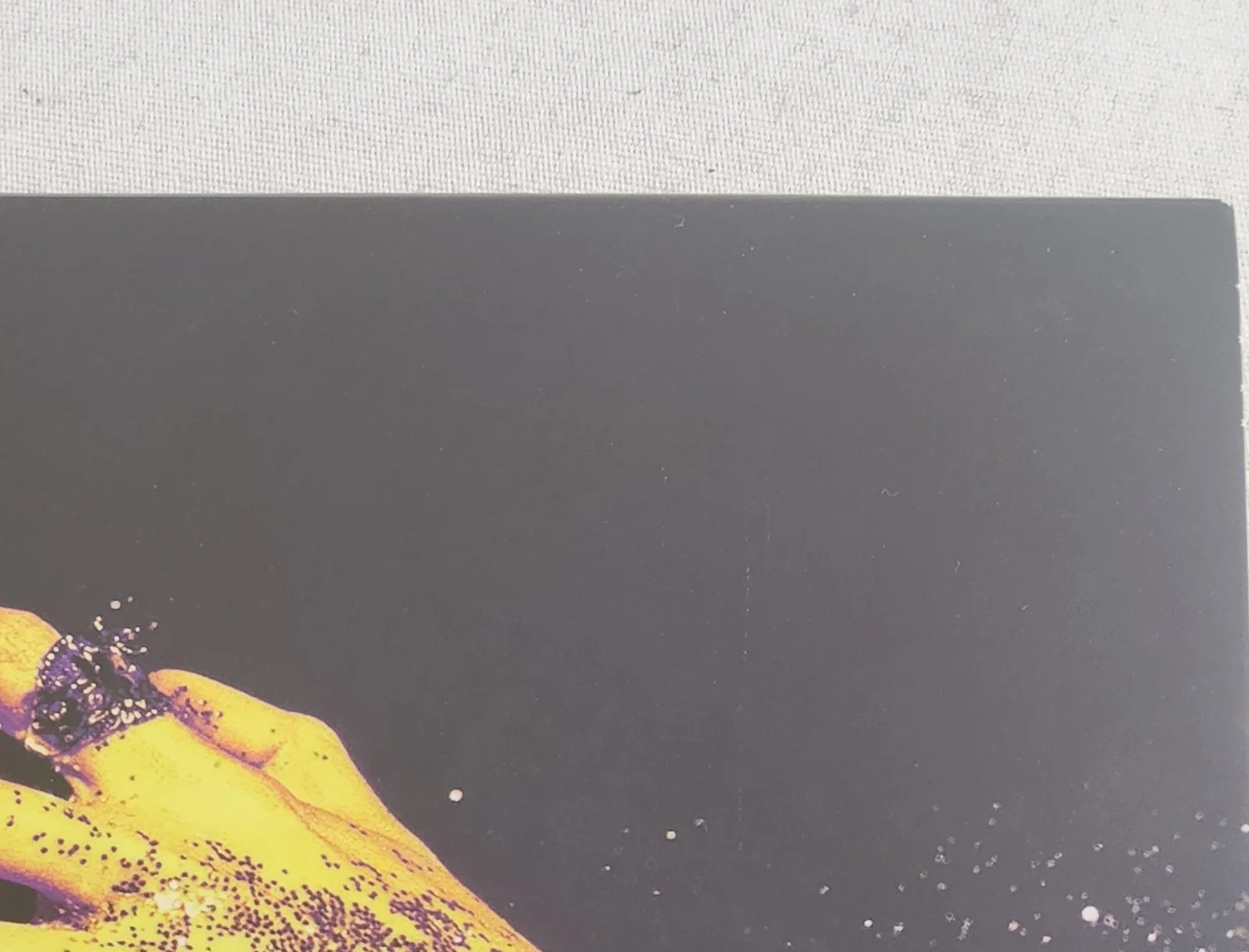 The Struts Autographed Everybody Wants Vinyl LP, image 2