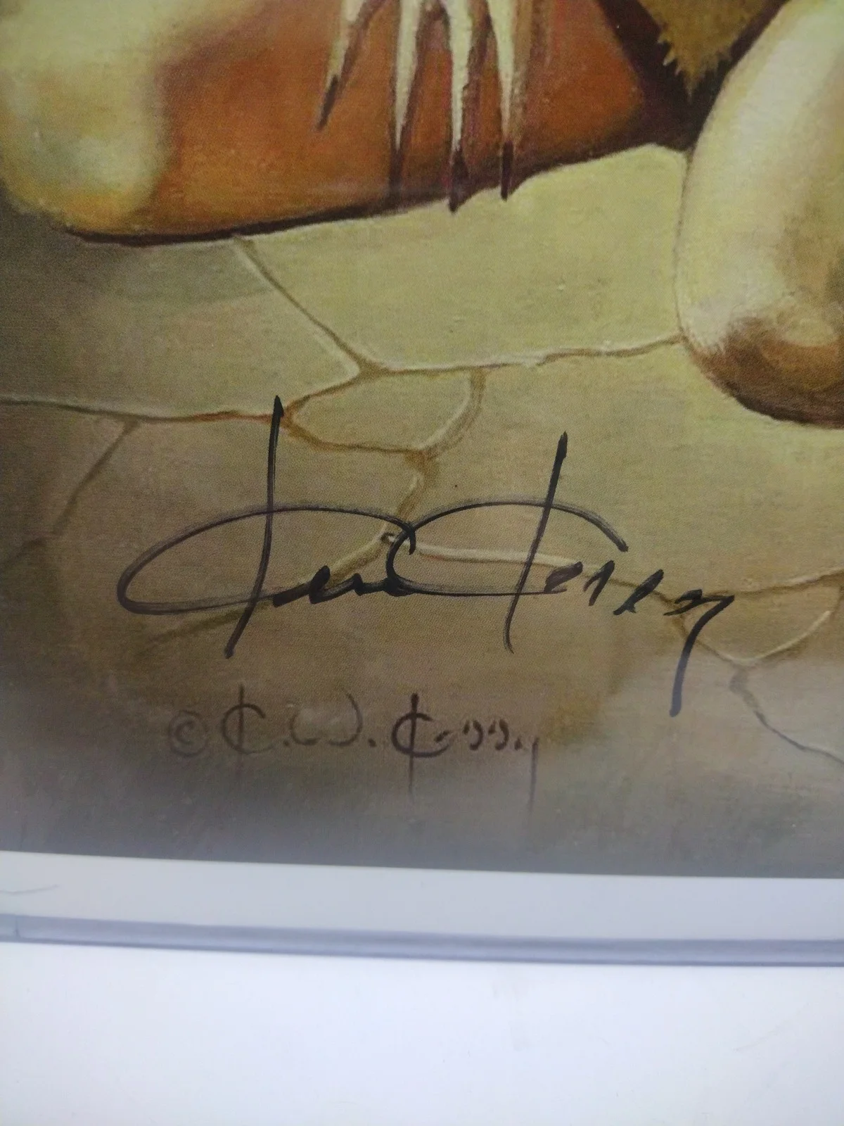 Ken Kelly — Vampirella Signed Ken Kelly Print Steel City Con COA 17"x11", изображение 2