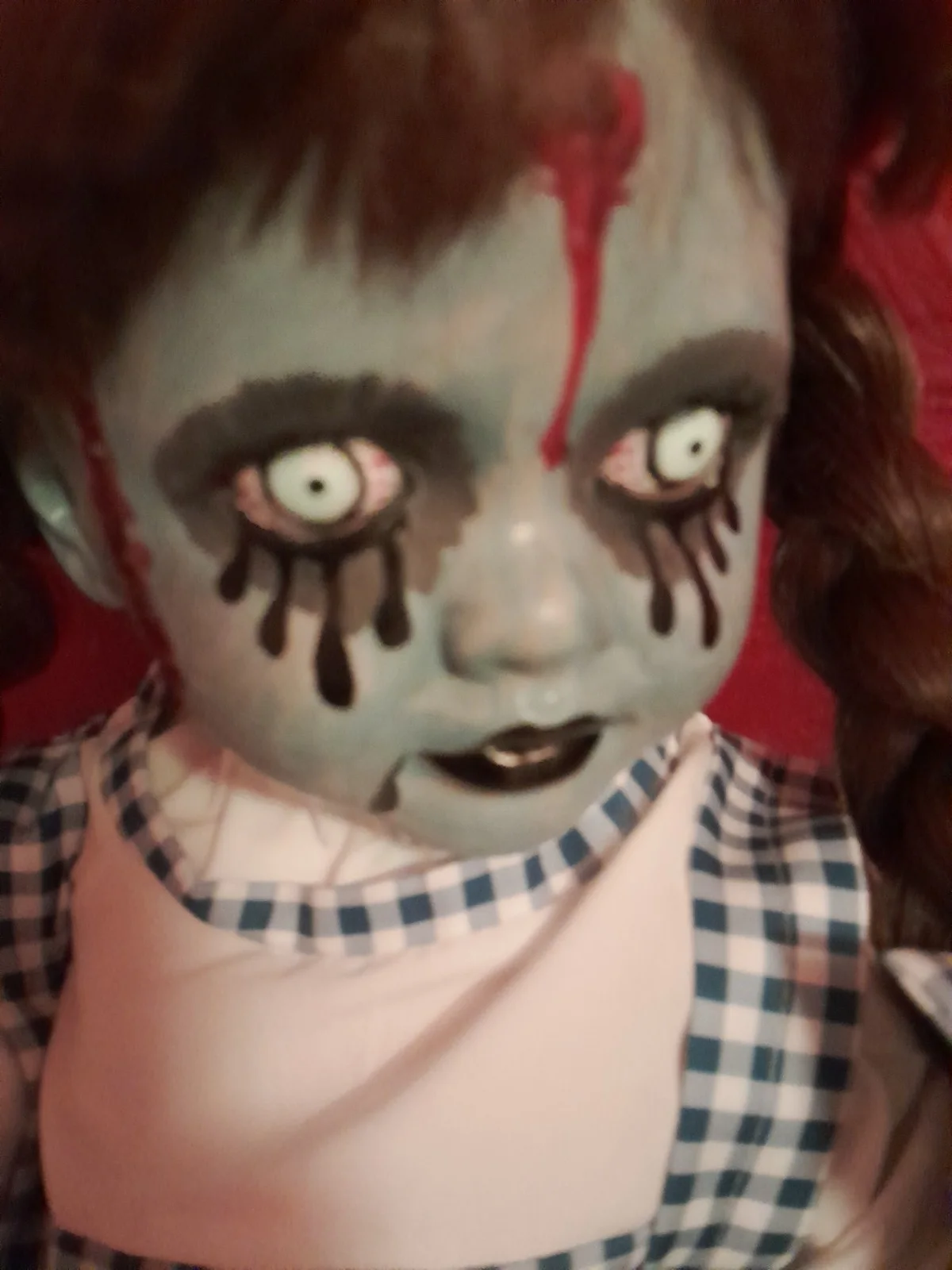 Custom Made Gothic Zombie Dorothy Wizard of Oz Reborn Doll, изображение 3