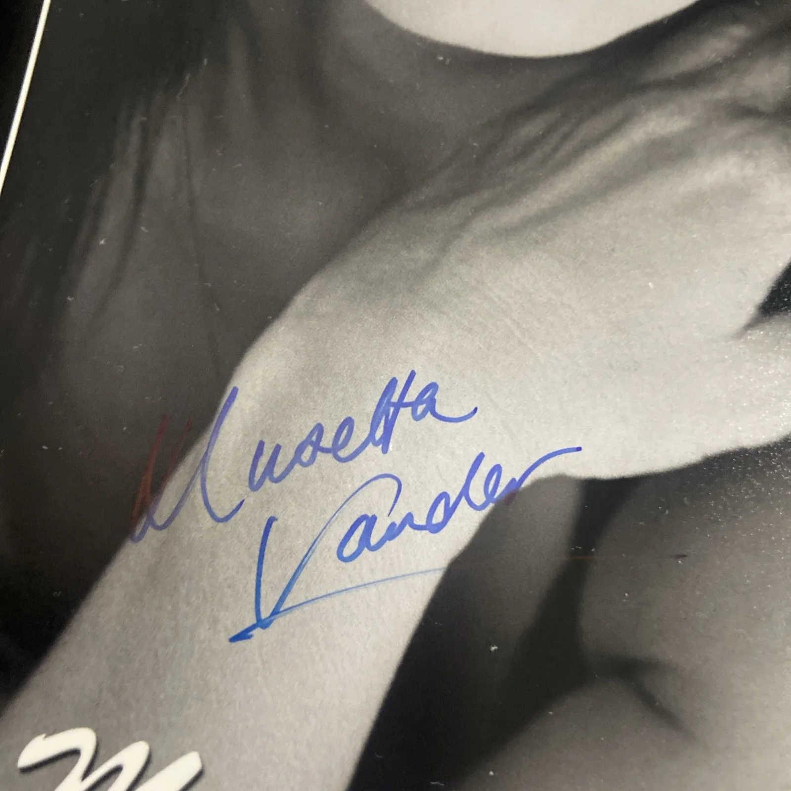 Musetta Vander — Musetta Vander Signed Mortal Kombat 8x10 Photo Authentic Autograph Hottie, image 2