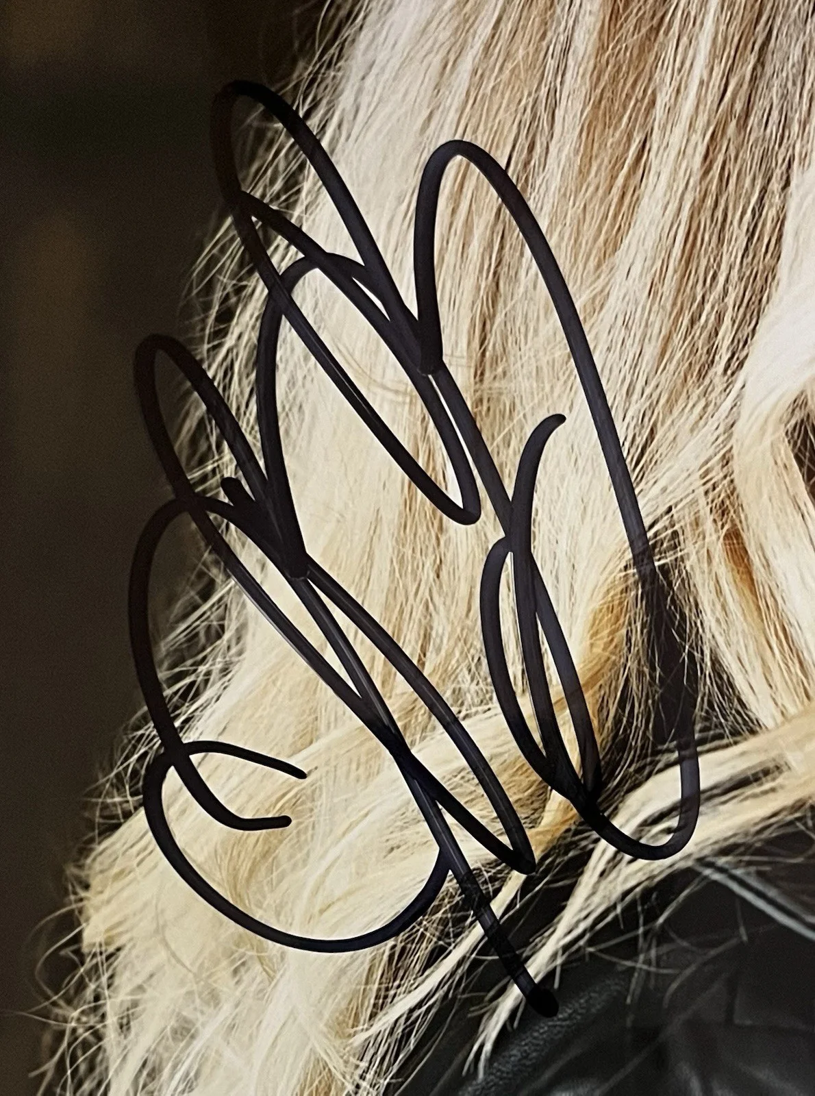 Briana Buckmaster — Supernatural Briana Buckmaster hand signed 8x10 autographed photo Donna SWAU, изображение 2