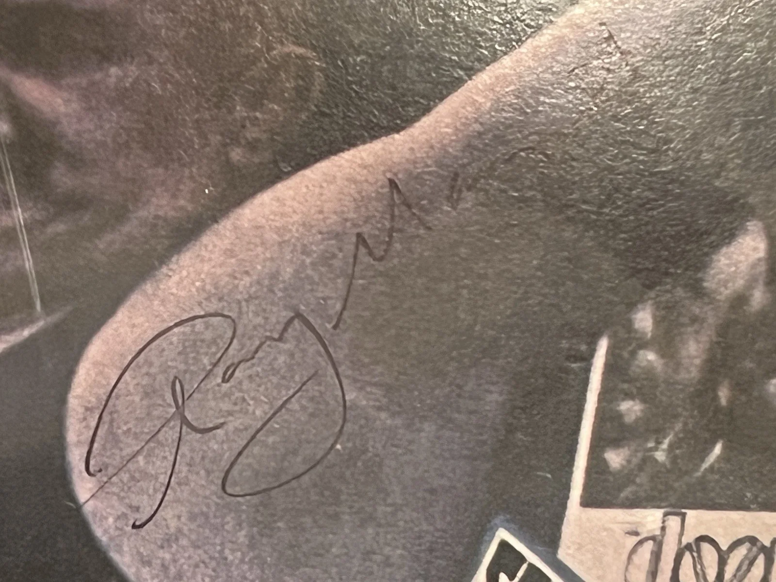 The Doors Strange Days Album Signed 4 Morrison Manzarek Krieger Densmore, изображение 5