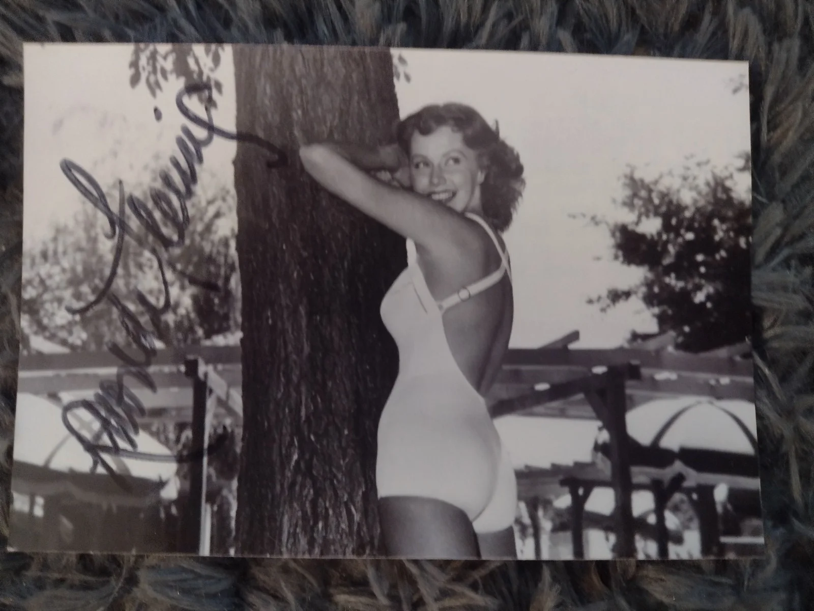 Set Of 4 Hollywood Legends Autographs Don Knotts Anne Meara Rhonda Fleming, изображение 5