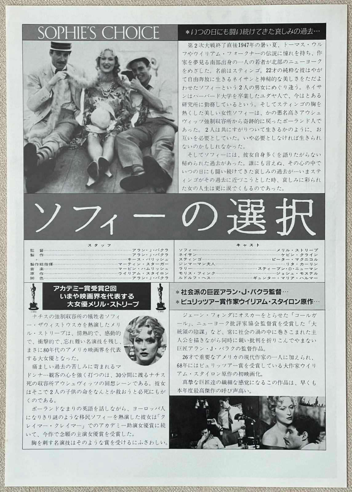 Sophie's Choice - 1983 Meryl Streep Japan Chirashi movie flyer mini poster B5, изображение 2