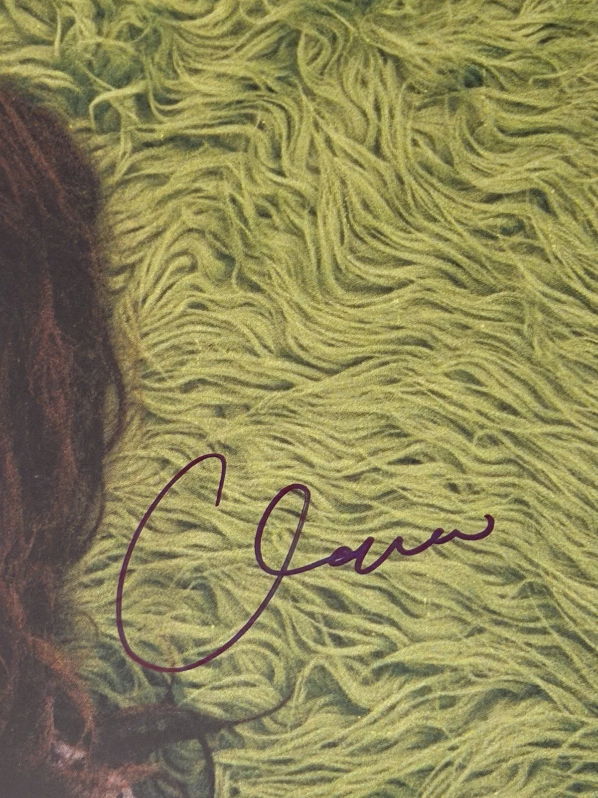Clairo Diary 001 Signed Vinyl BECKETT COA, image 2