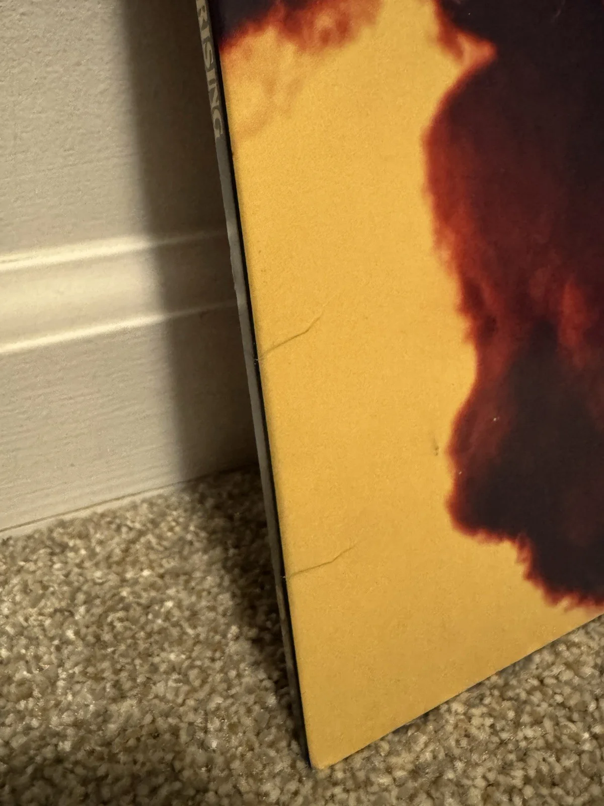 Jake Kiszka, Josh Kiszka, Sam Kiszka, Danny Wagner — Greta Van Fleet group signed Black Smoke Rising Vinyl - Full PSA, image 5