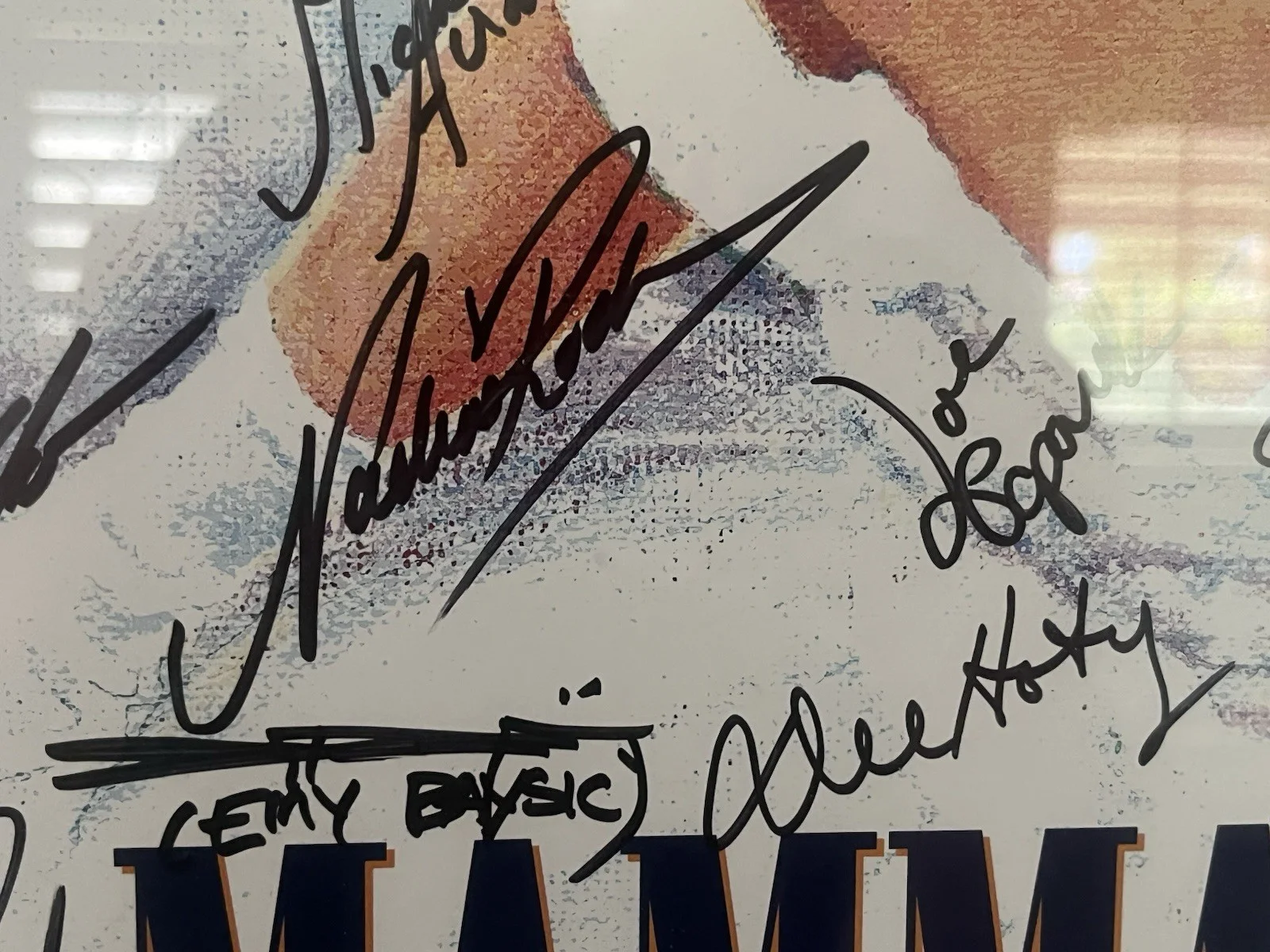 Cast — Mamma Mia Broadway Poster Signed Cast Framed ABBA Musical Theater, изображение 4