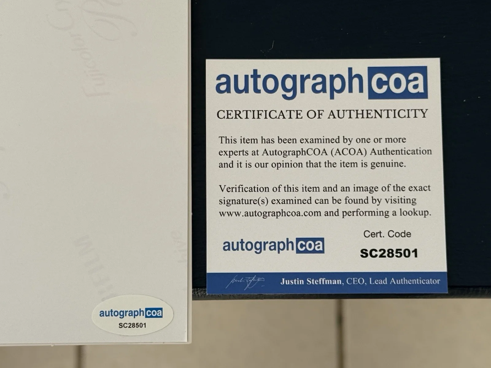 Bryce Dallas Howard — Bryce Dallas Howard Jurassic World Signed 11x14 Photo Claire ACOA Autograph, image 3