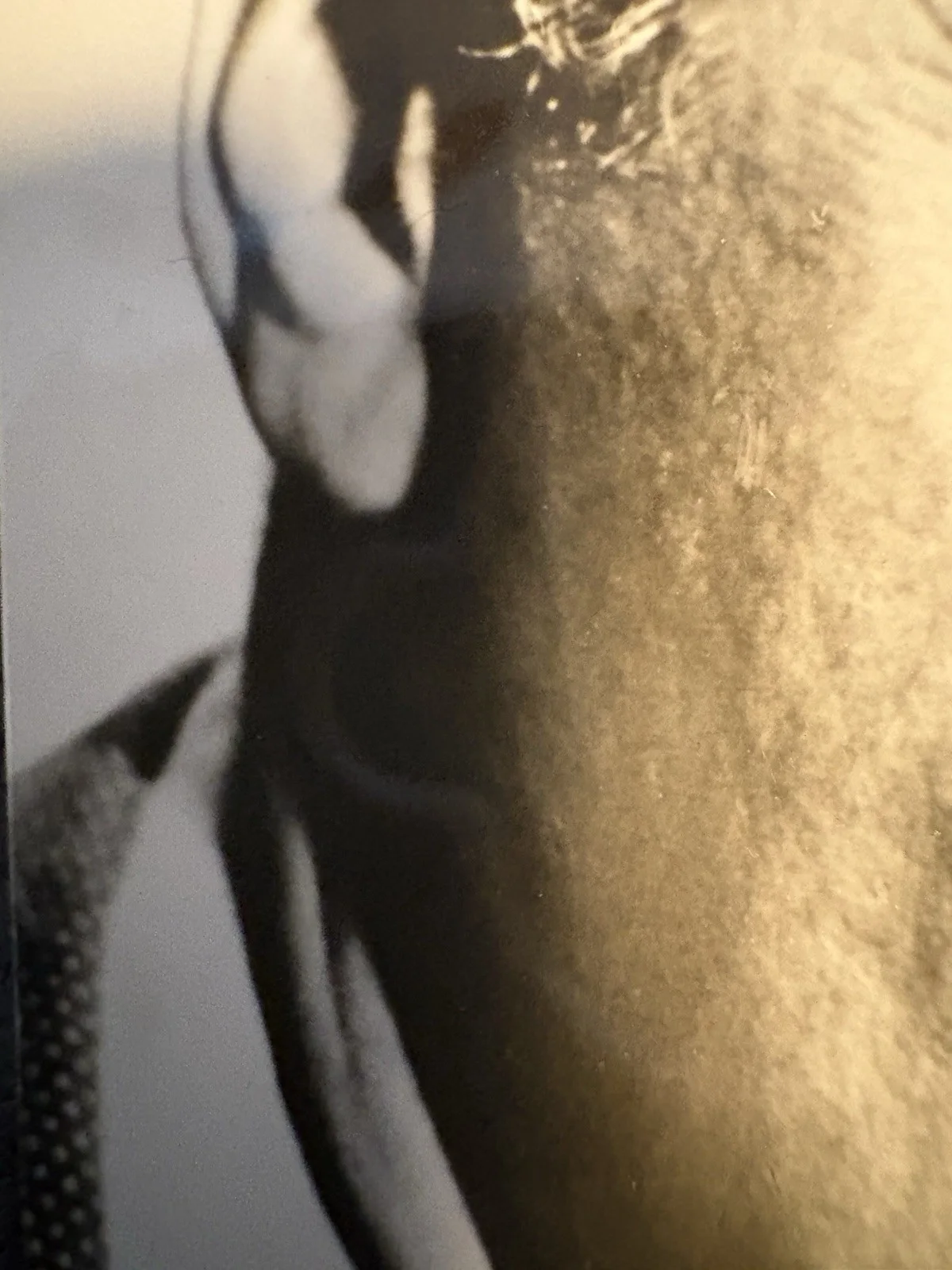 Nice curd Jürgen’s Postcard With Authentic Signature, image 5