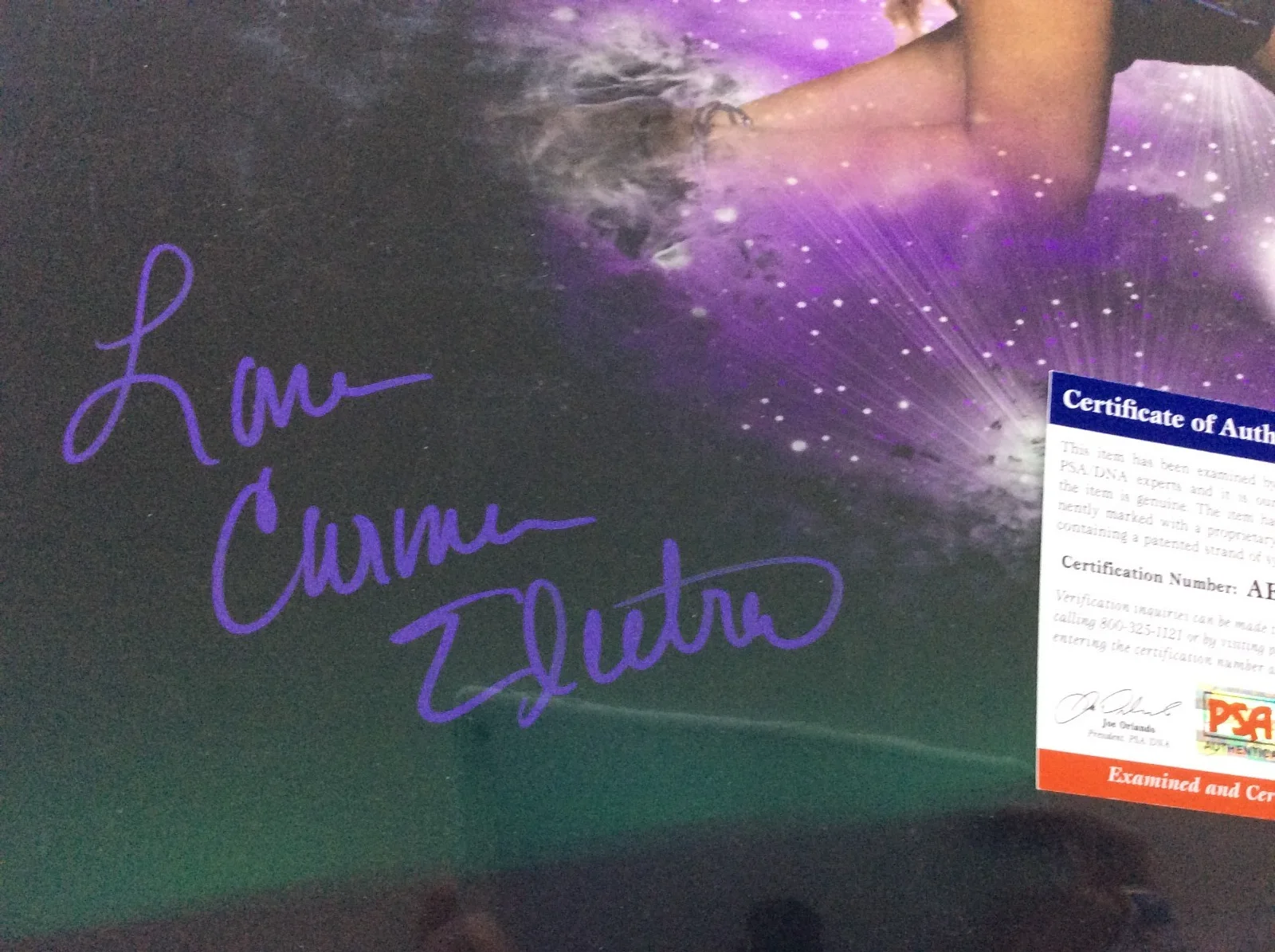 carmen electra — CARMEN ELECTRA SIGNED BAYWATCH AUTOGRAPHED 16X20 PHOTO PSA auto., изображение 3