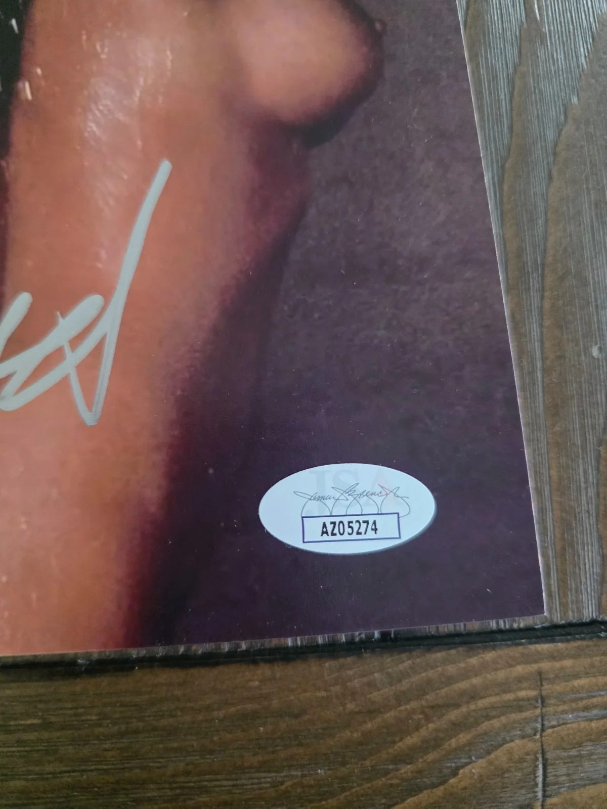 Shannon Tweed — Shannon Tweed Signed Autographed 8x10 Photo jsa COA, image 2
