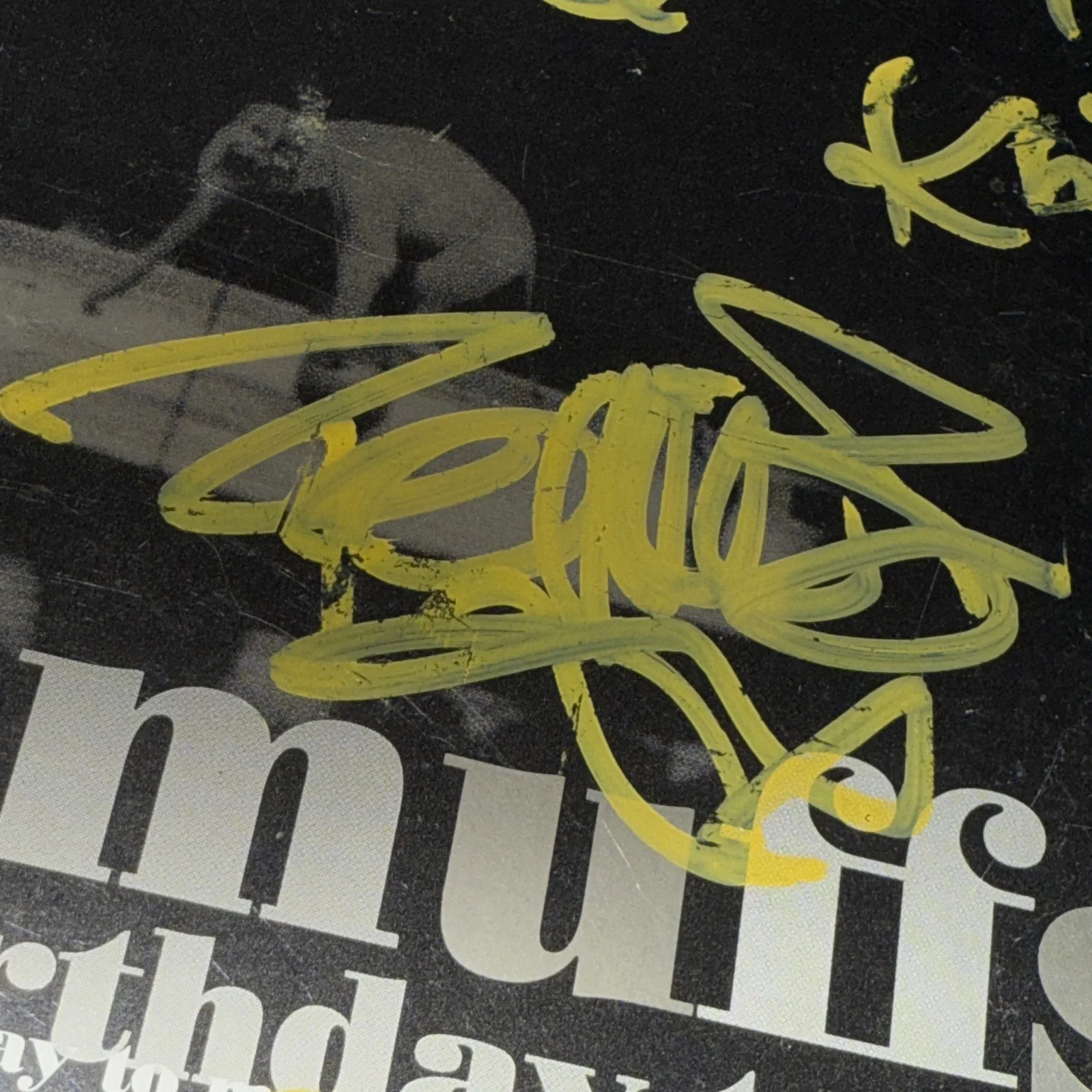 The Muffs Autographed Signed Kim Shattuck Vintage Promo Press cd Concert Y2K, изображение 5