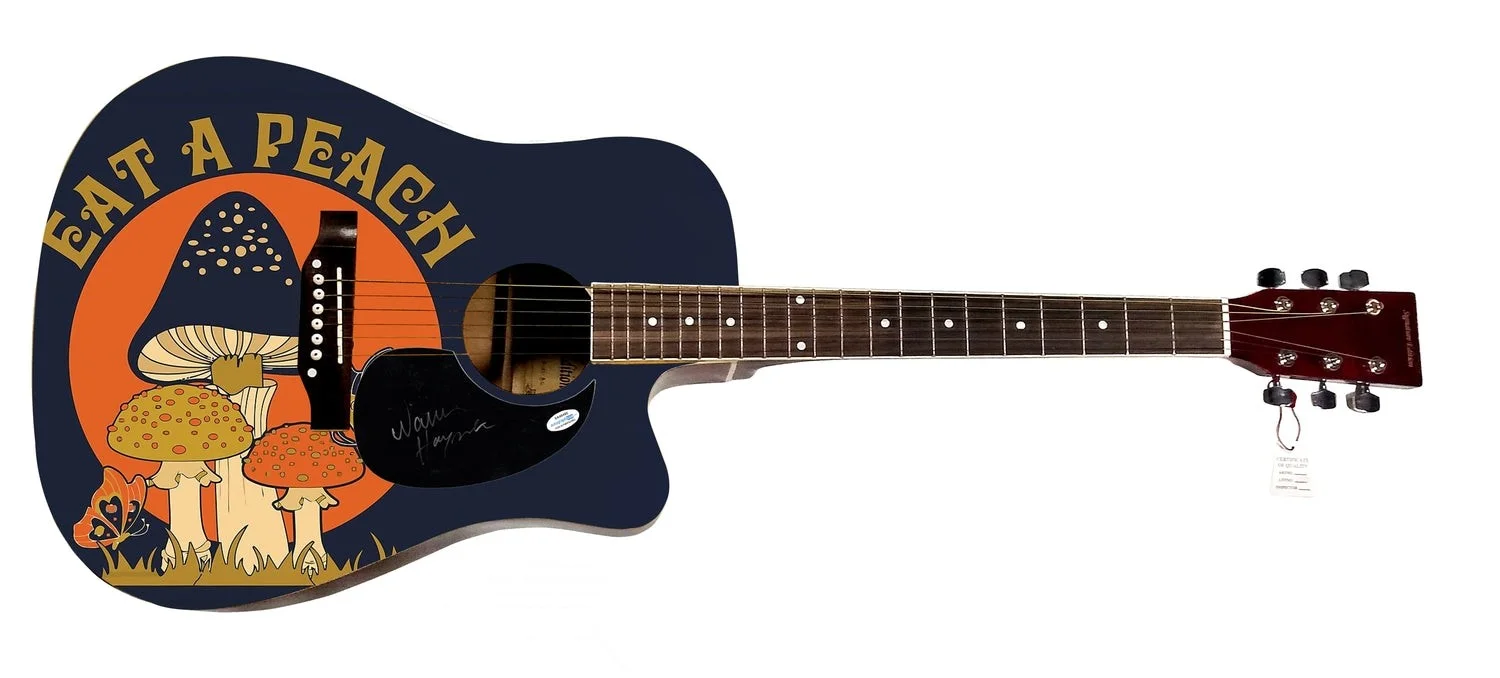 Warren Haynes Signed Allman Brothers Custom 1/1 Graphics Guitar, image 2