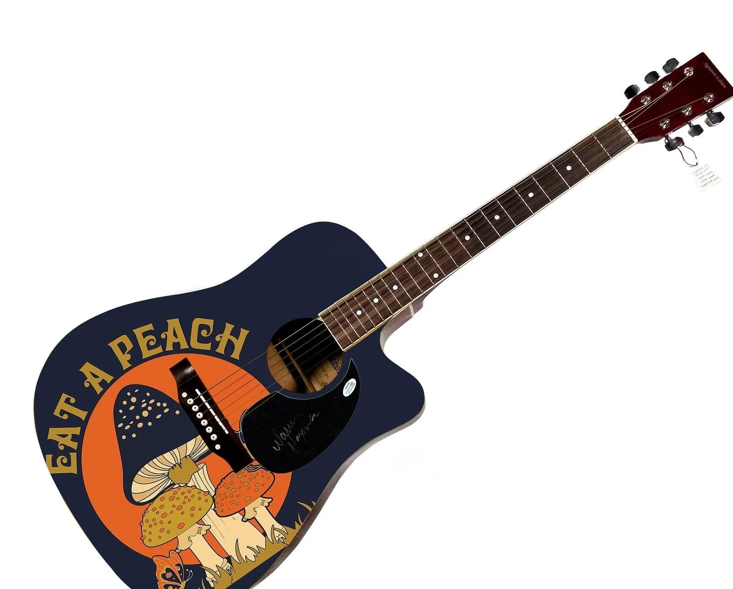 Warren Haynes Signed Allman Brothers Custom 1/1 Graphics Guitar, image 3