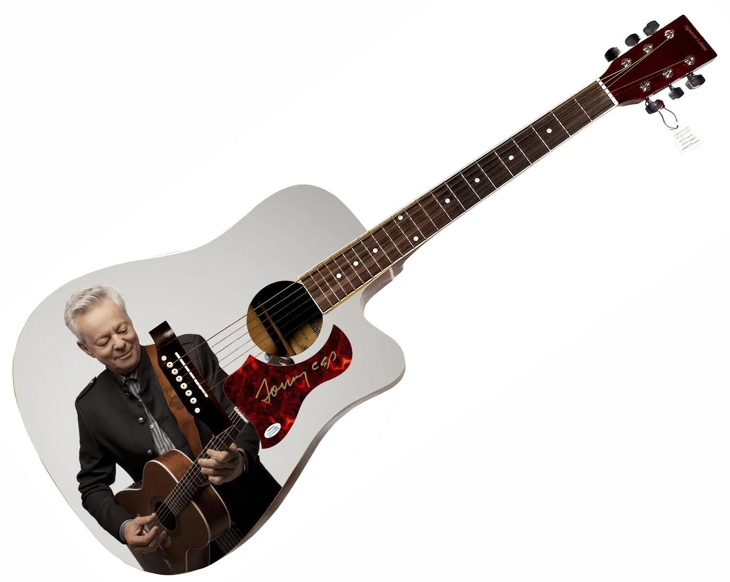 Tommy Emmanuel Signed Custom Graphics 1/1 Acoustic Guitar ACOA, image 3
