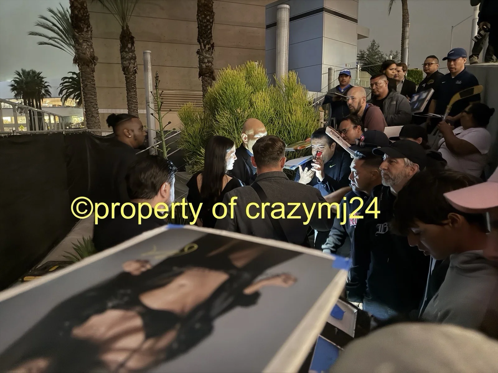 Riley Keough Signed Sexy Daisy Jones & And the Six 8x10 Autograph Proof SWAU COA, изображение 4
